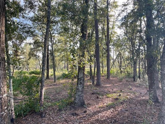 2114 Mill Creek Road