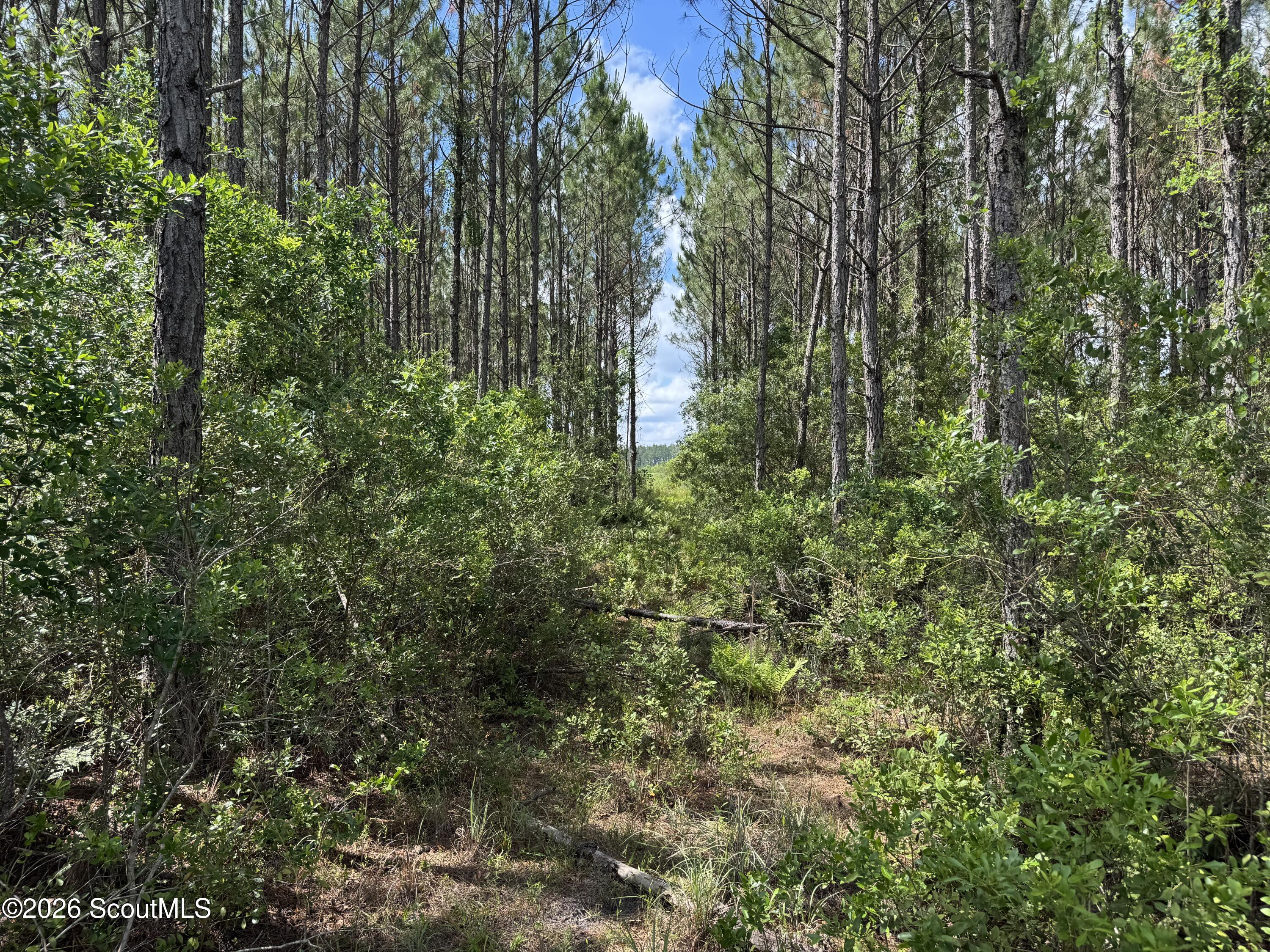0000 Hwy 84