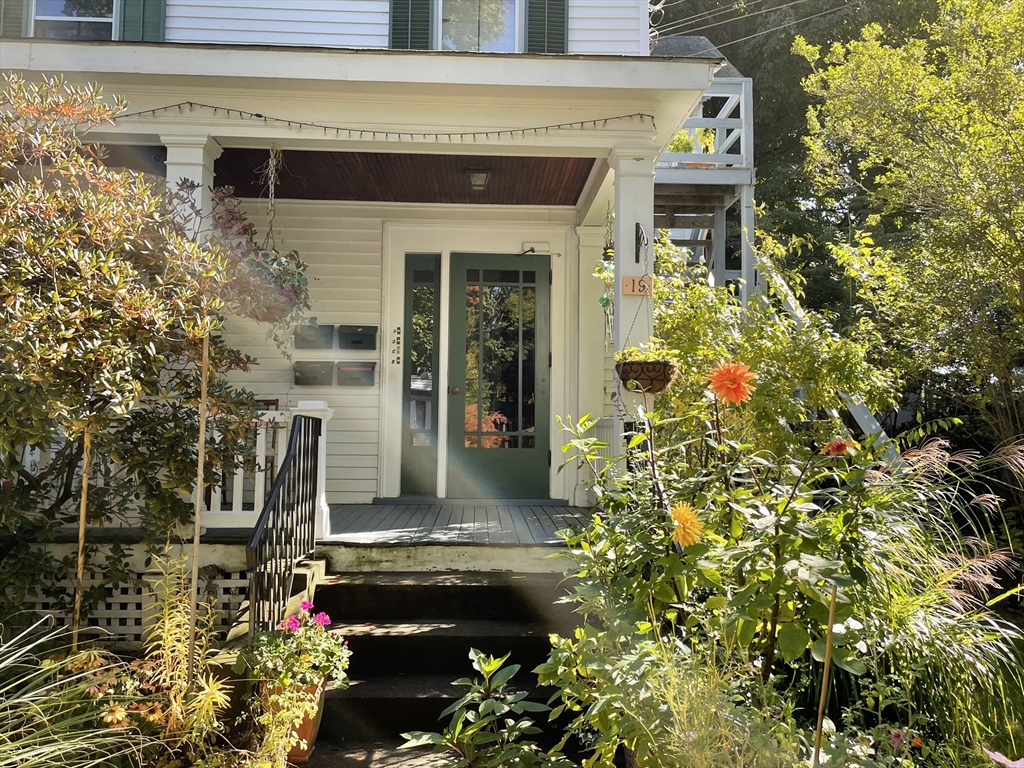 19 Linden # 1