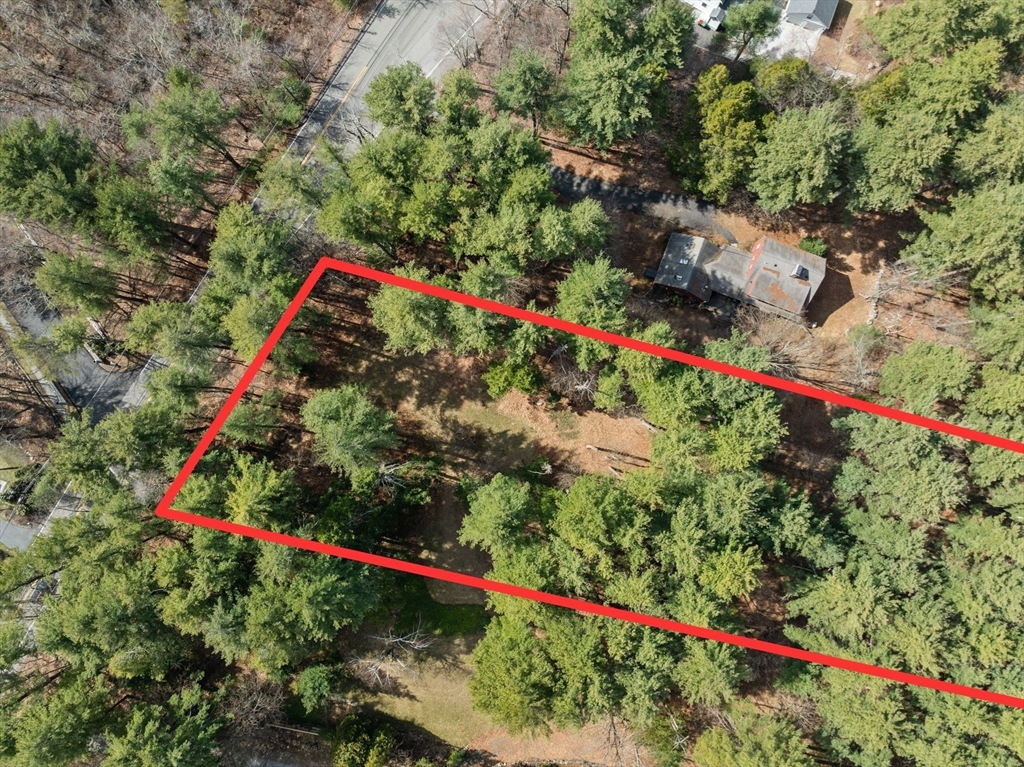 49 Concord Rd