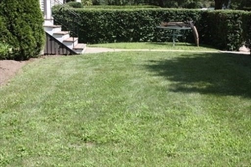 249 Tremont Street # 1