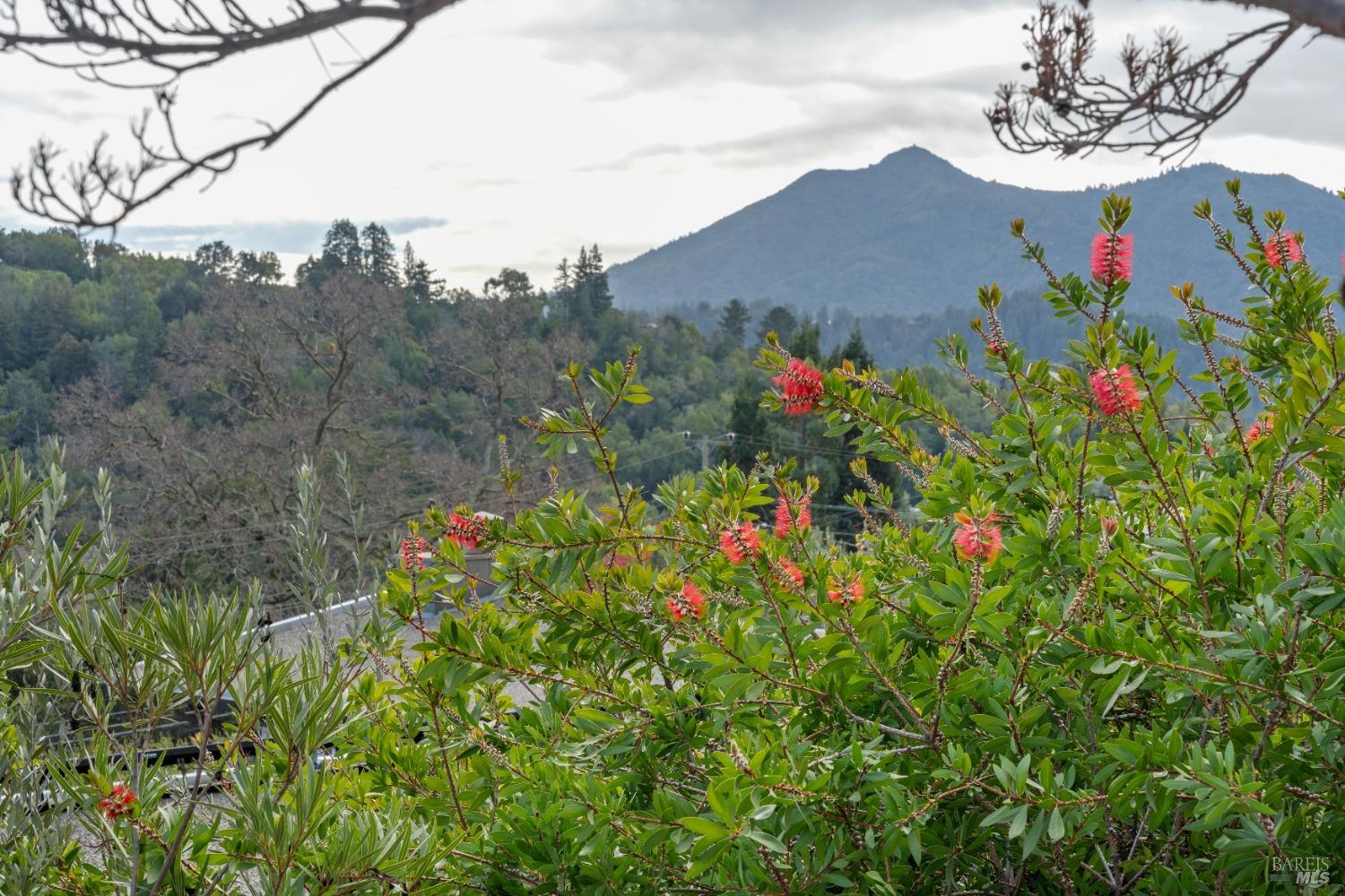 19 Southview Terrace