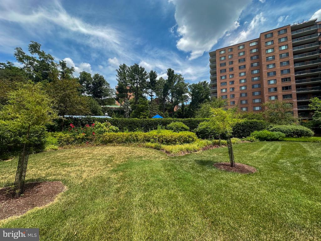 4201 CATHEDRAL AVE NW #419E
