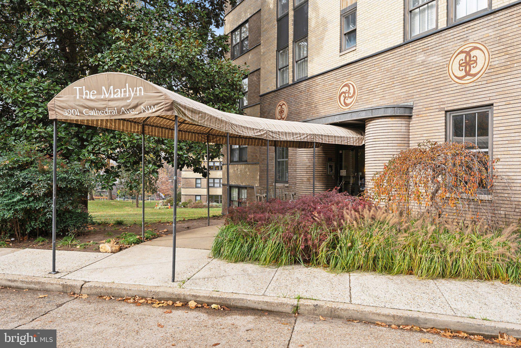 3901 Cathedral Ave NW #113
