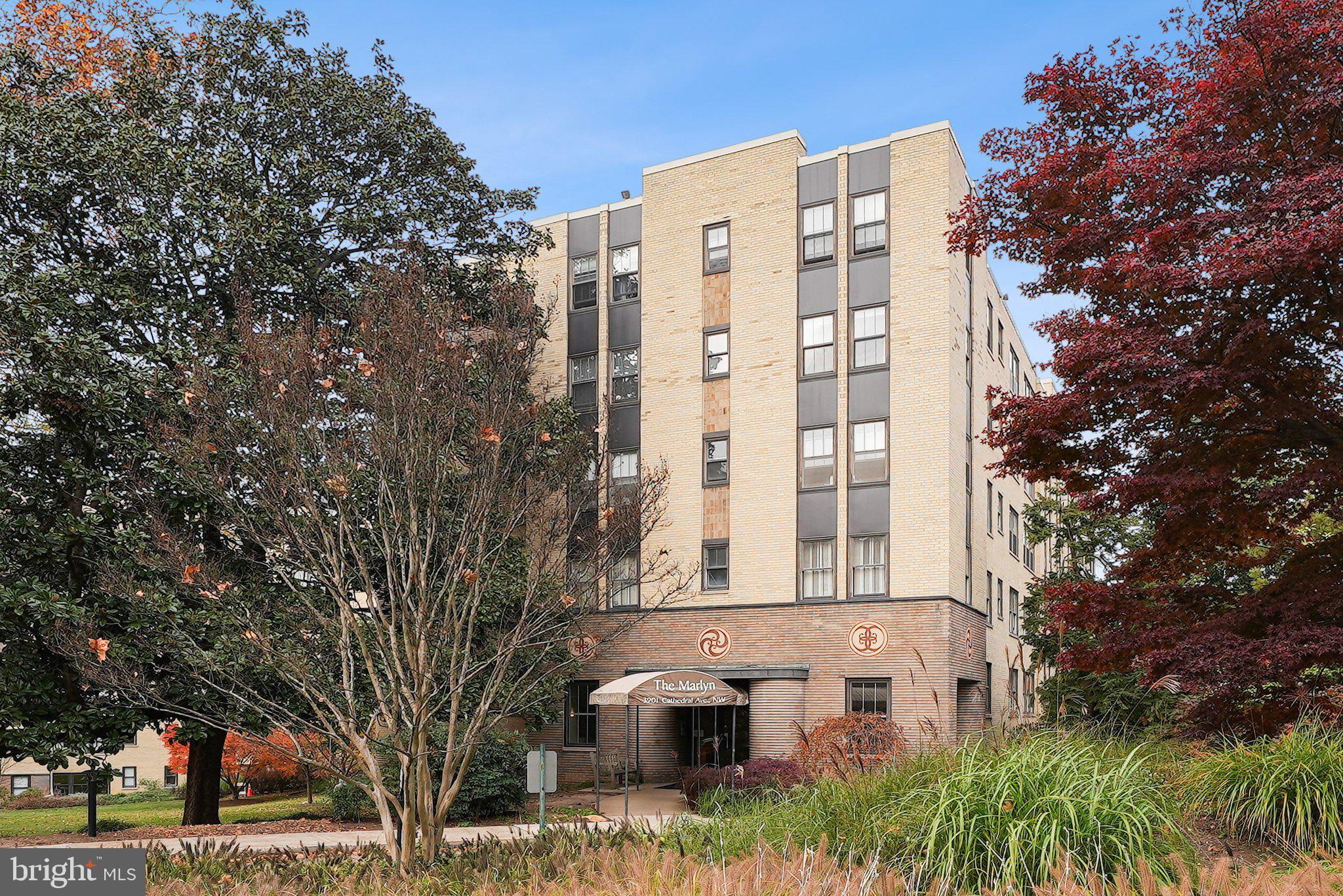 3901 Cathedral Ave NW #113
