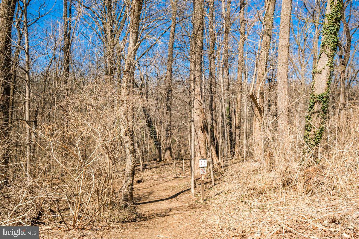 4114 Davis Pl NW #105