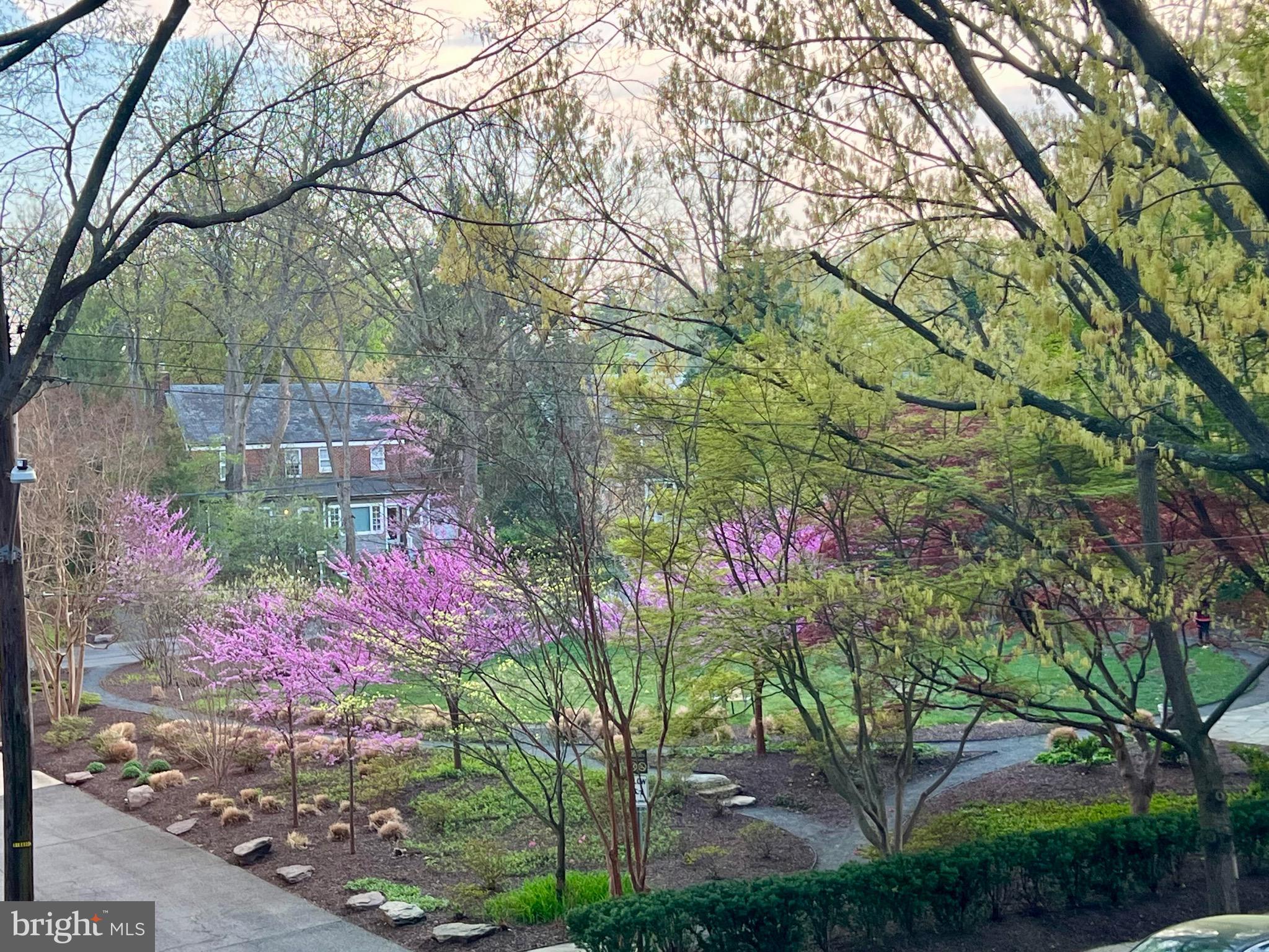 4700 Connecticut Ave NW #208