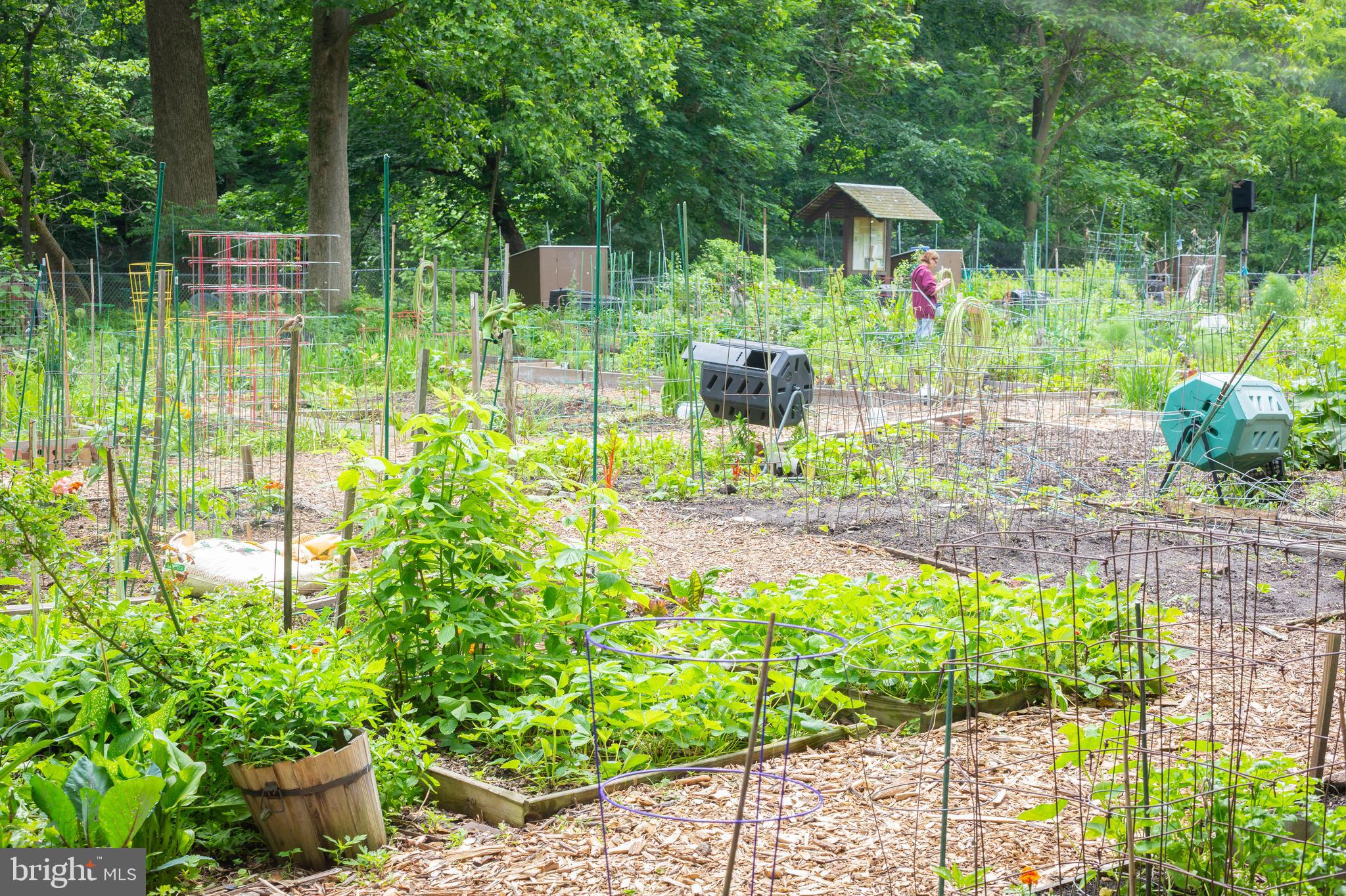 3900 CONNECTICUT AVENUE NW 306-F