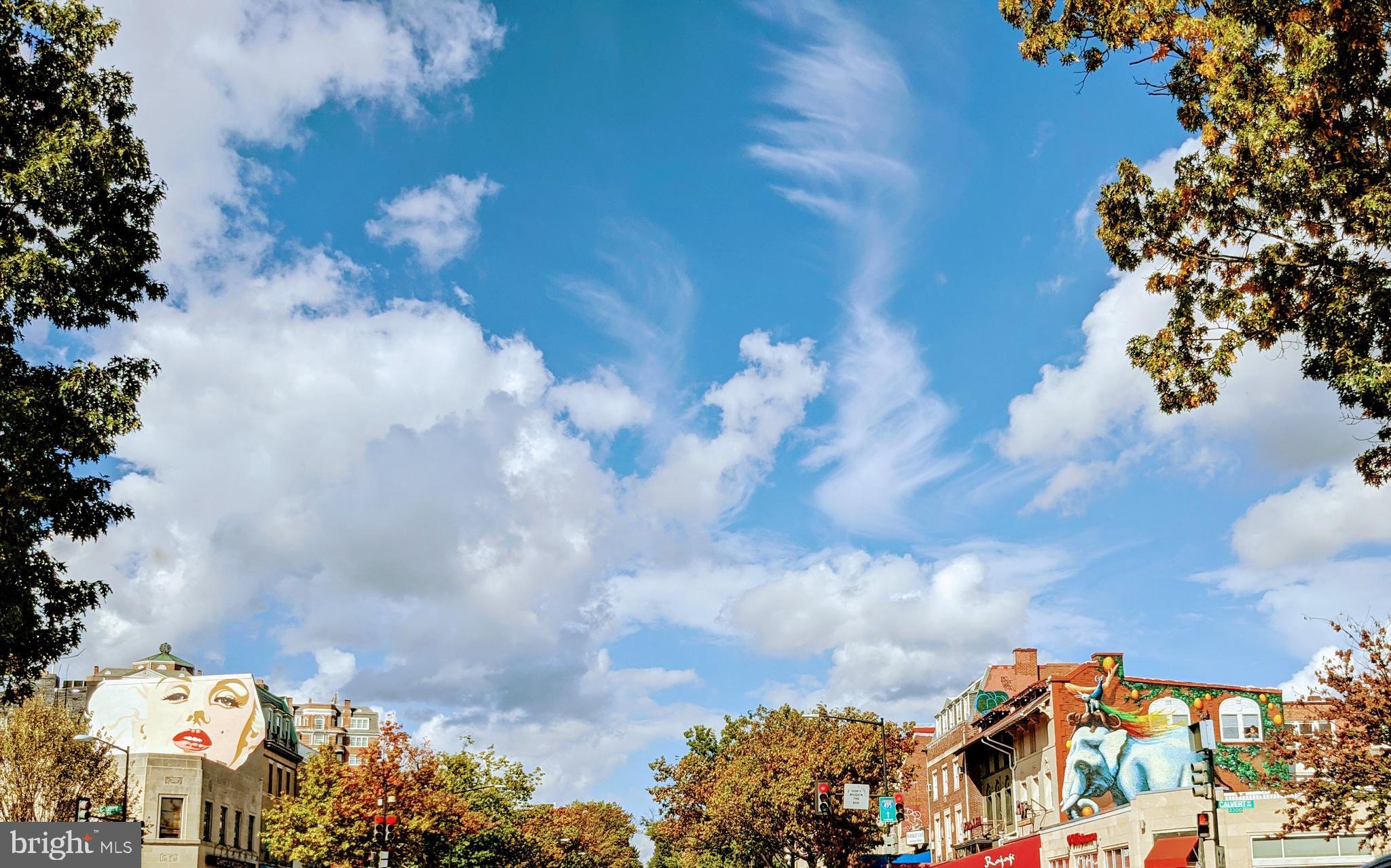 1801 Clydesdale Pl NW #307