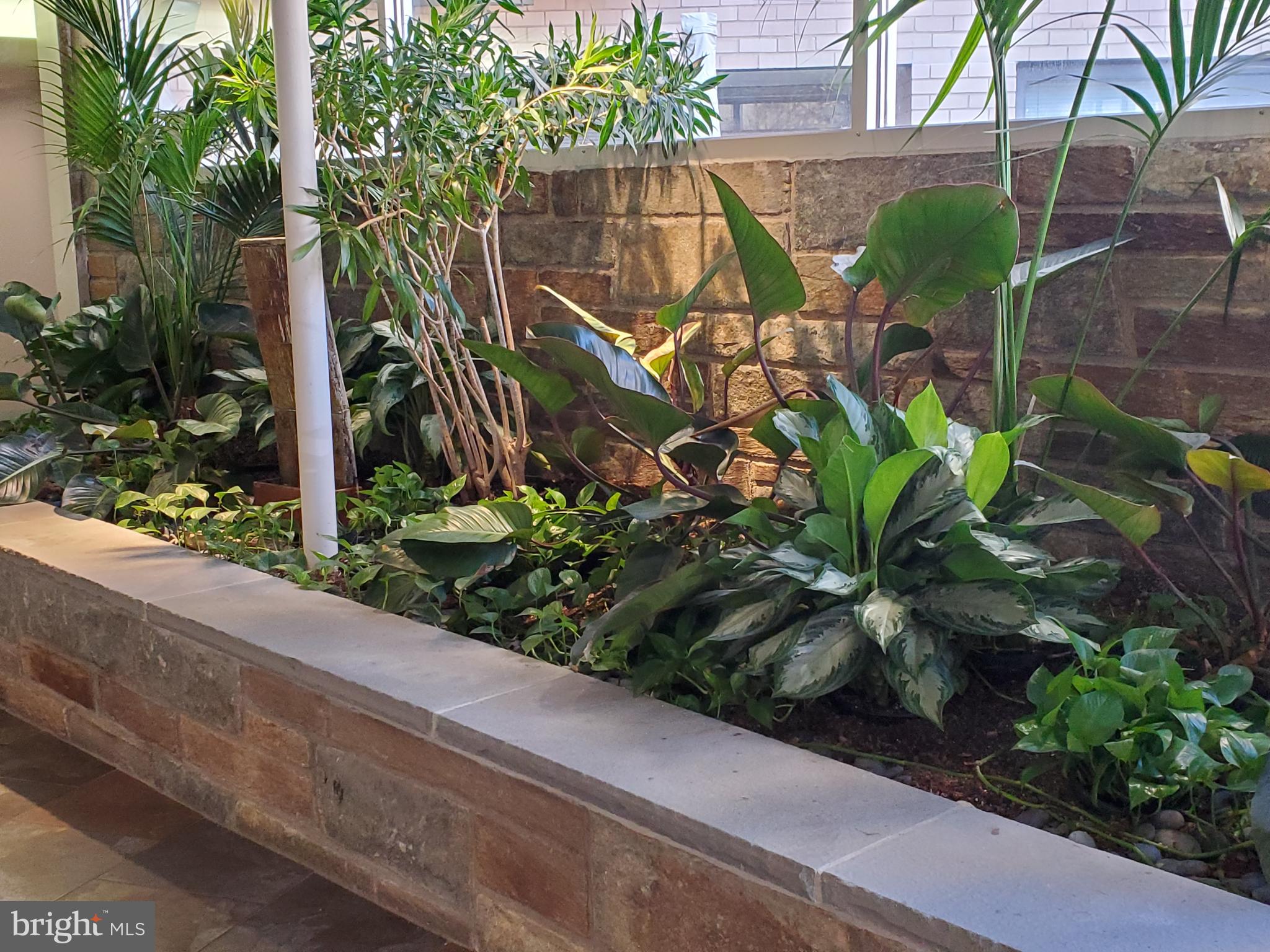 4740 CONNECTICUT AVENUE NW 107