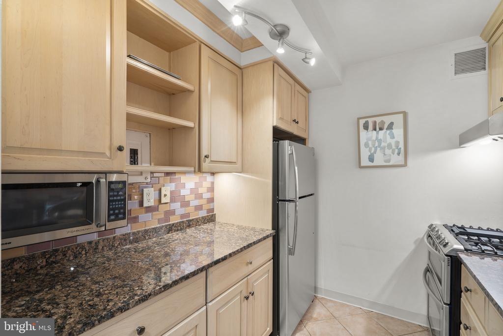 4201 CATHEDRAL AVENUE NW Unit: 419E