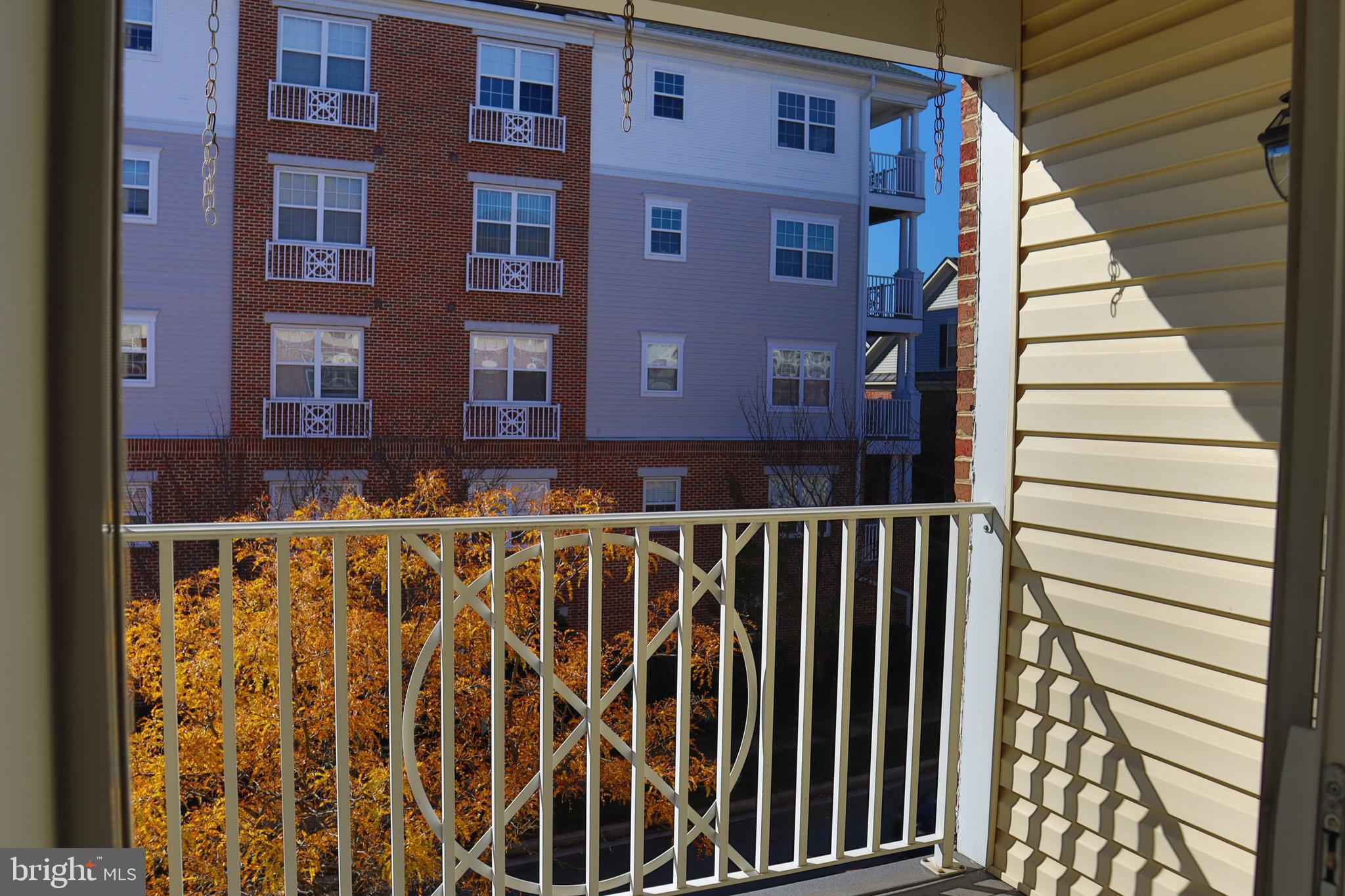 315 King Farm Blvd #302