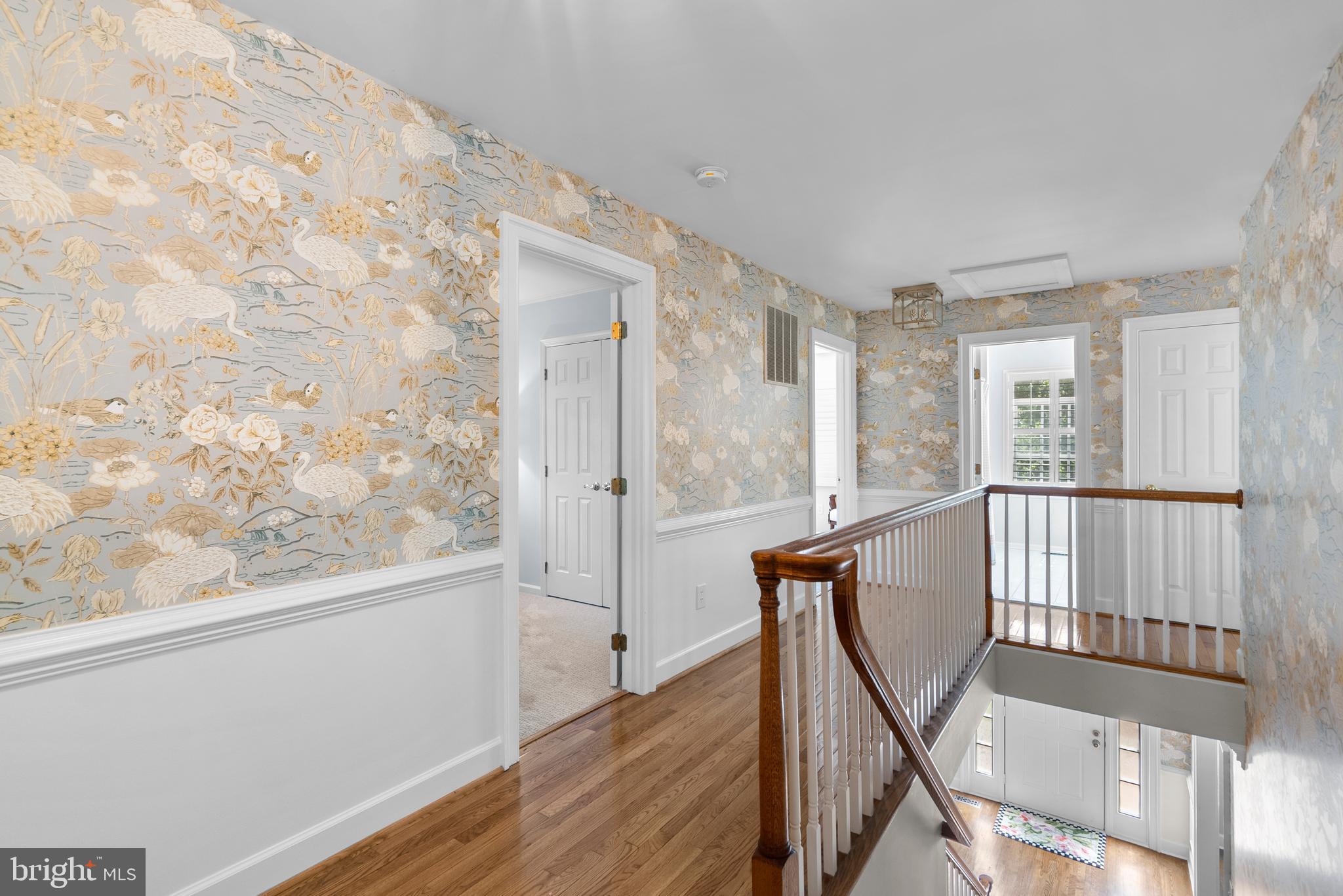 204 MASSBURY STREET