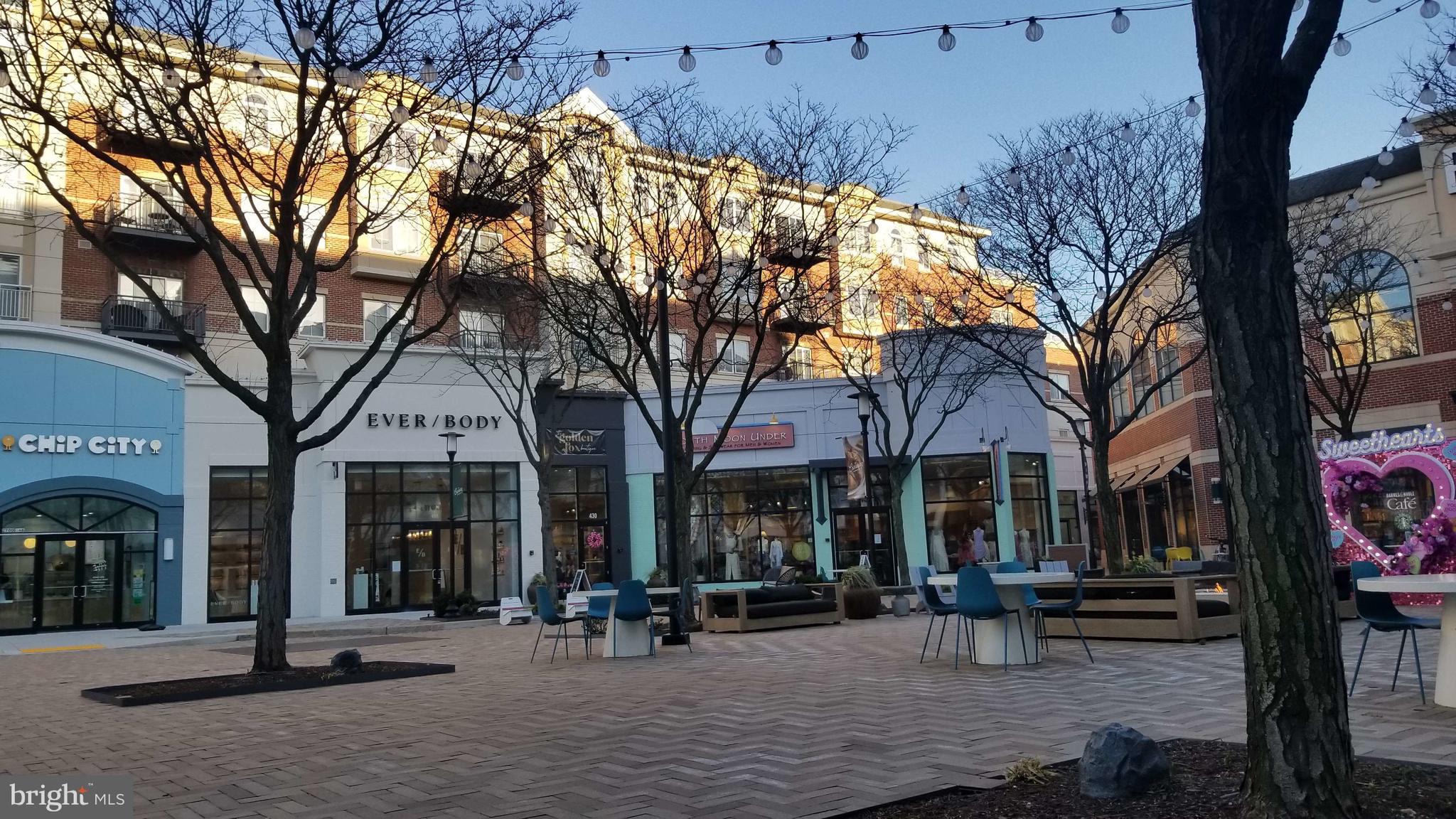 1301 N COURTHOUSE ROAD 705