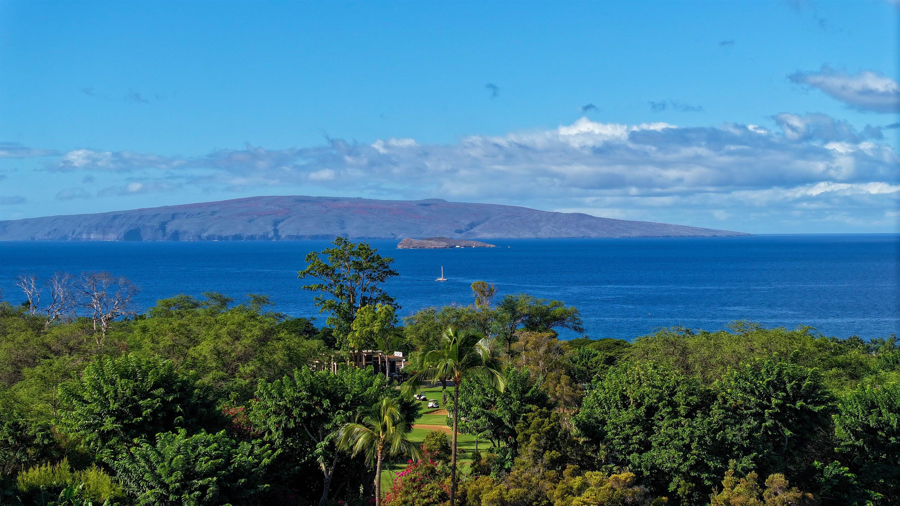 4362 Melianani Pl Unit Lot #5