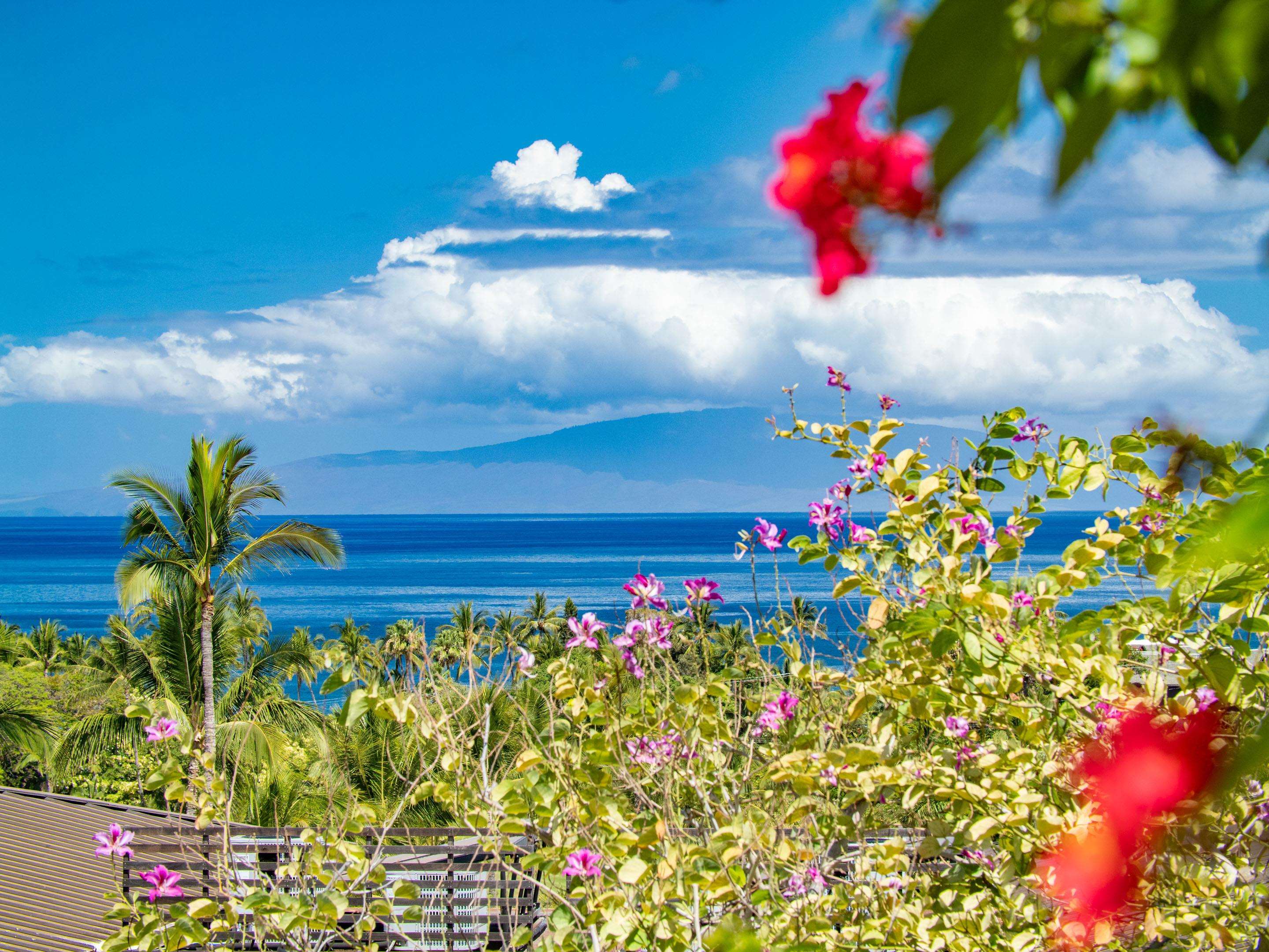 3100 Wailea Alanui Dr Unit: 12