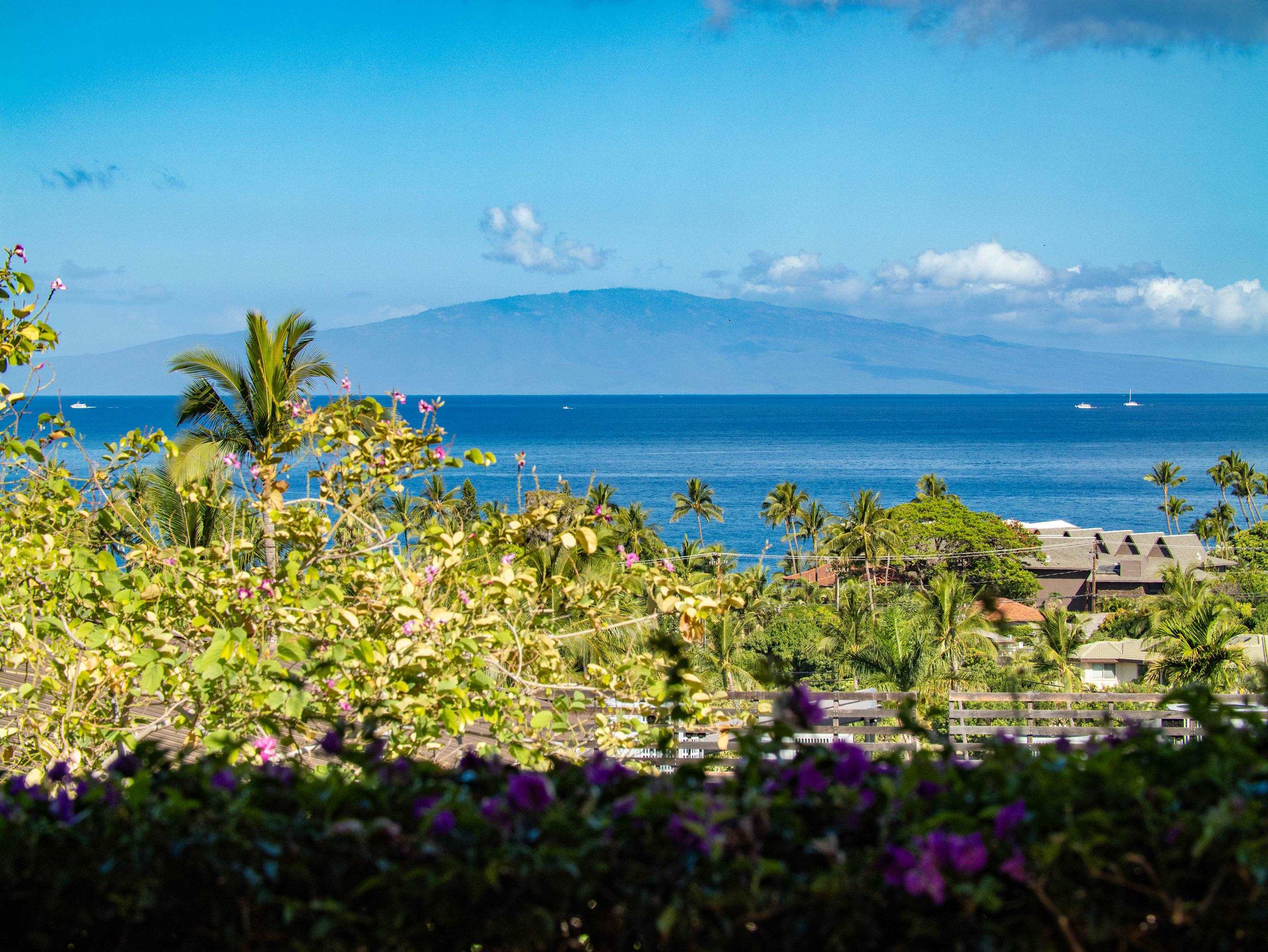 3100 Wailea Alanui Dr Unit: 12