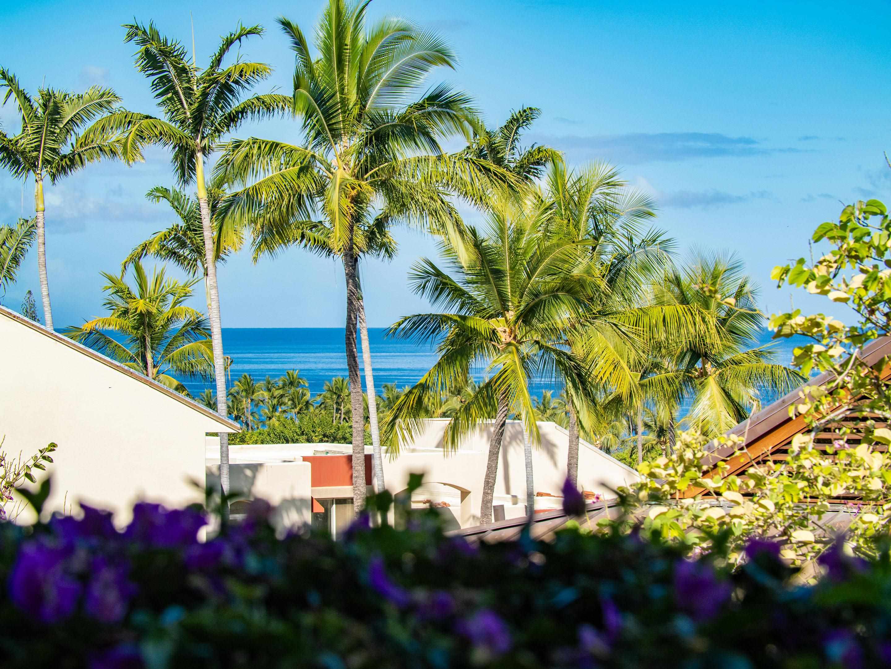 3100 Wailea Alanui Dr Unit: 12