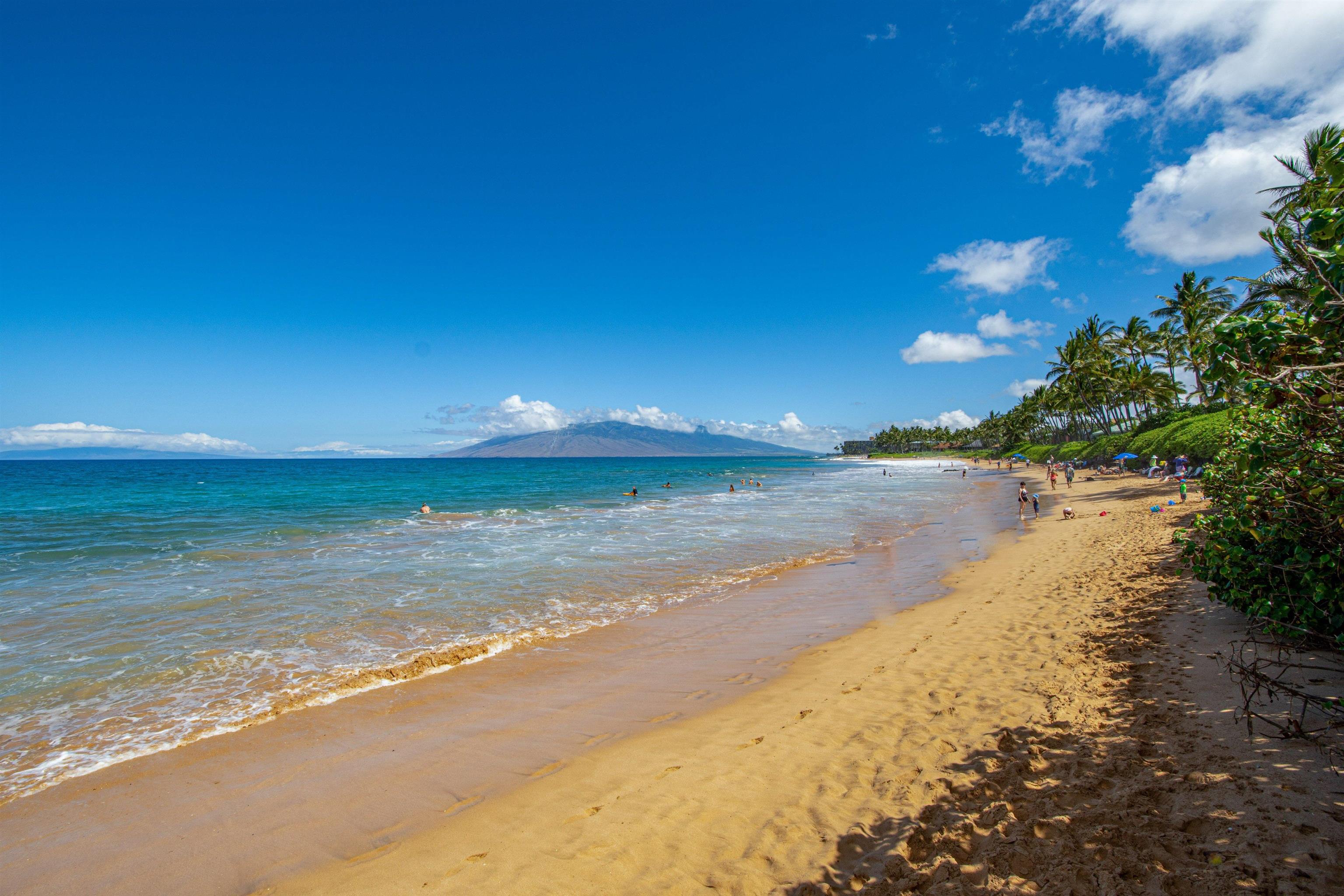 3300 Wailea Alanui Dr Unit: 13F