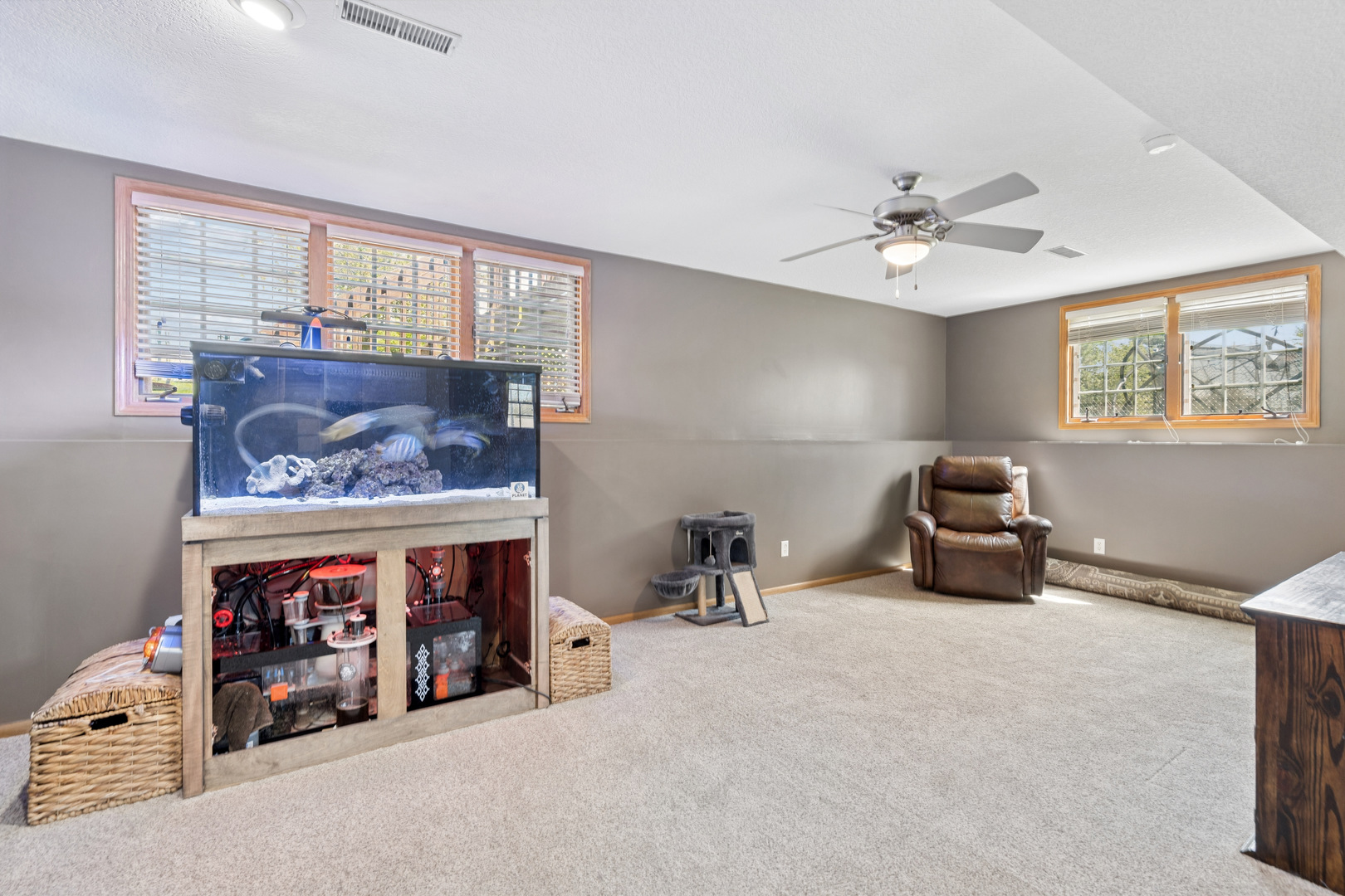 4038 Spartina Court