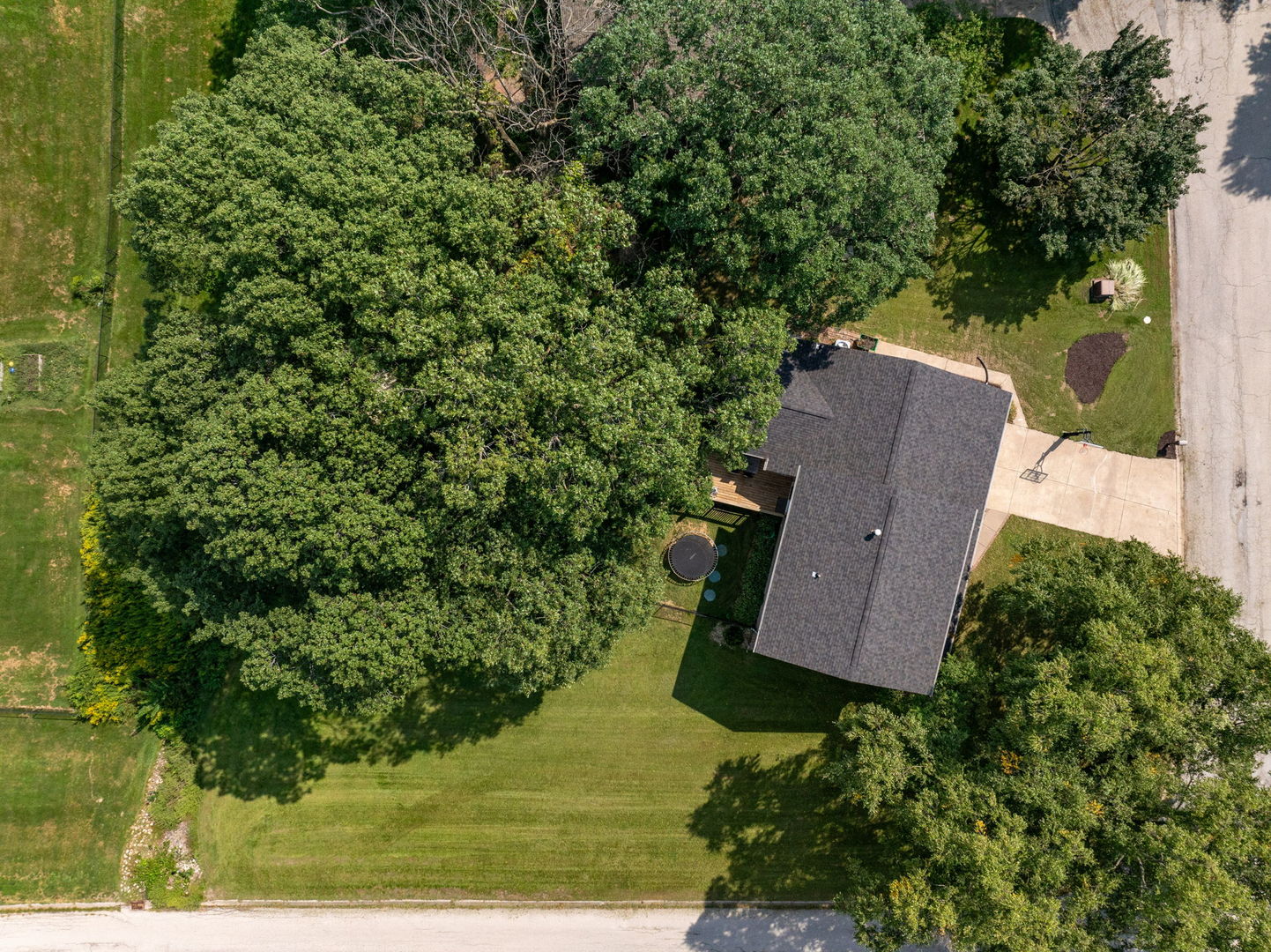 81 Cedar Court