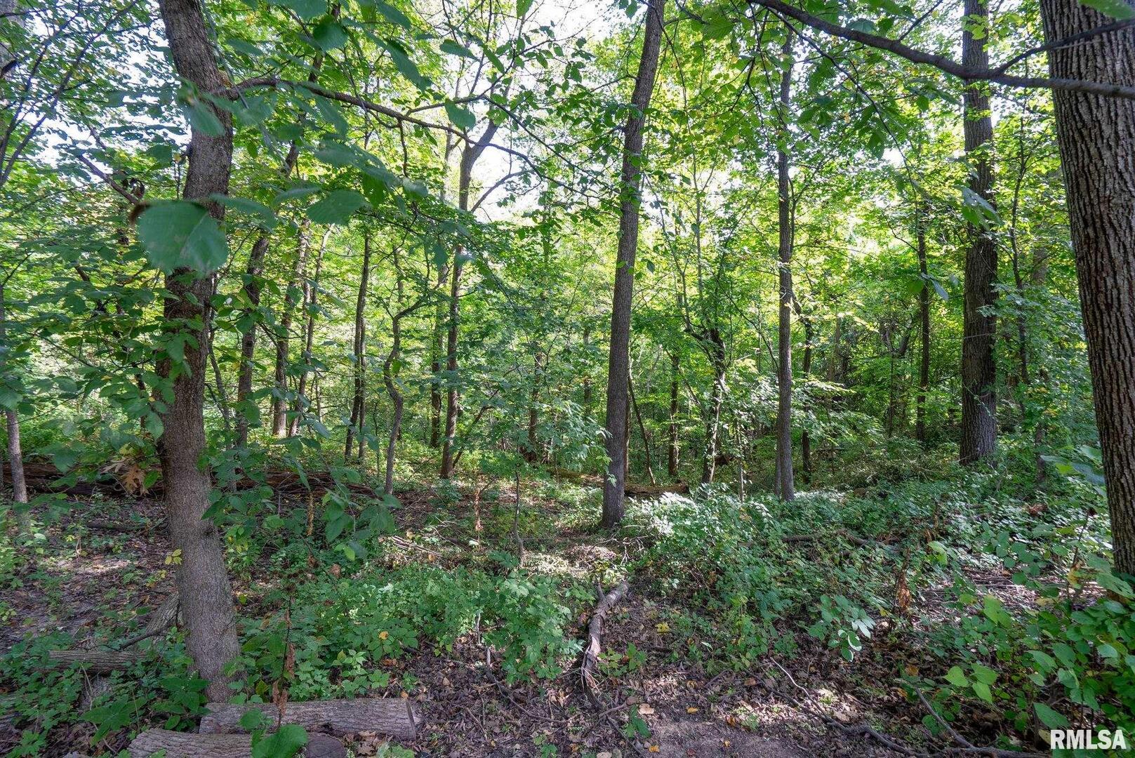 31 WILDWOOD Drive