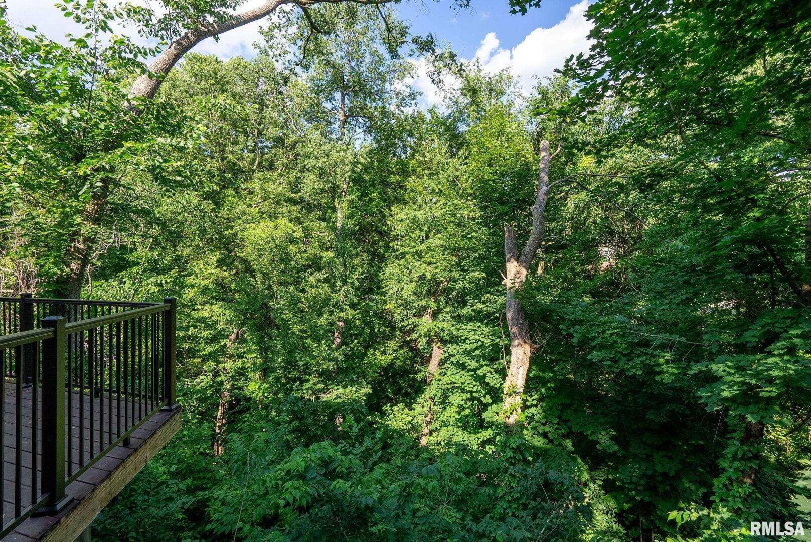 17 WILDWOOD Trail