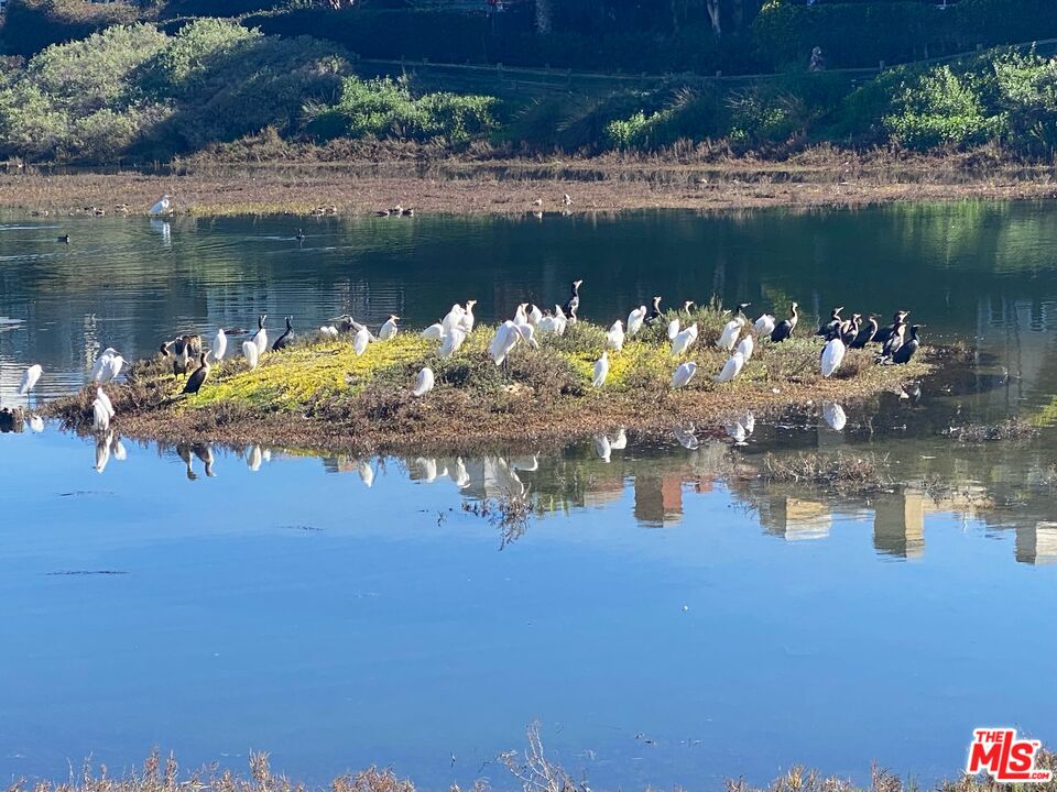 3933 Esplanade Unit: 1