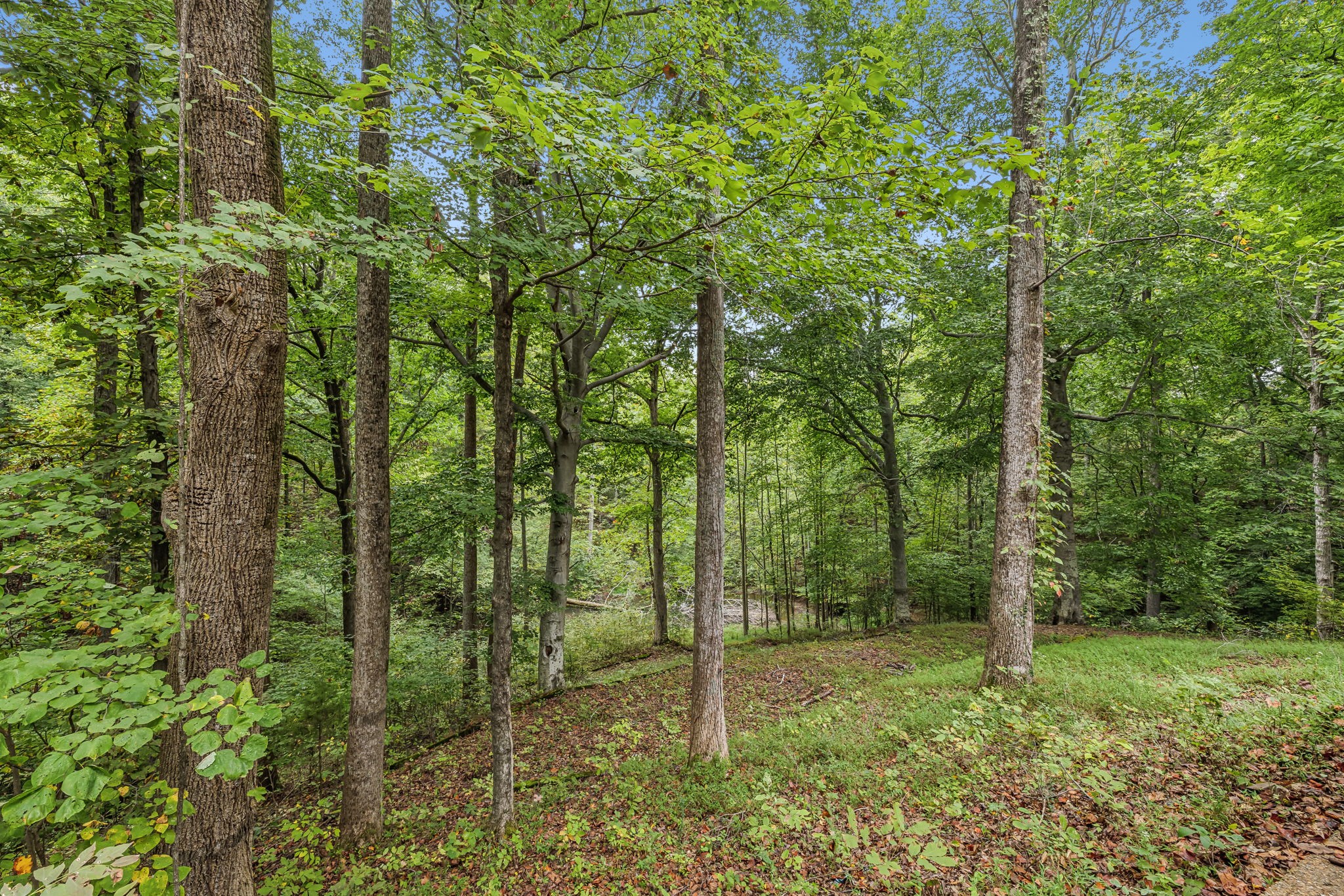 2727 Greer Rd