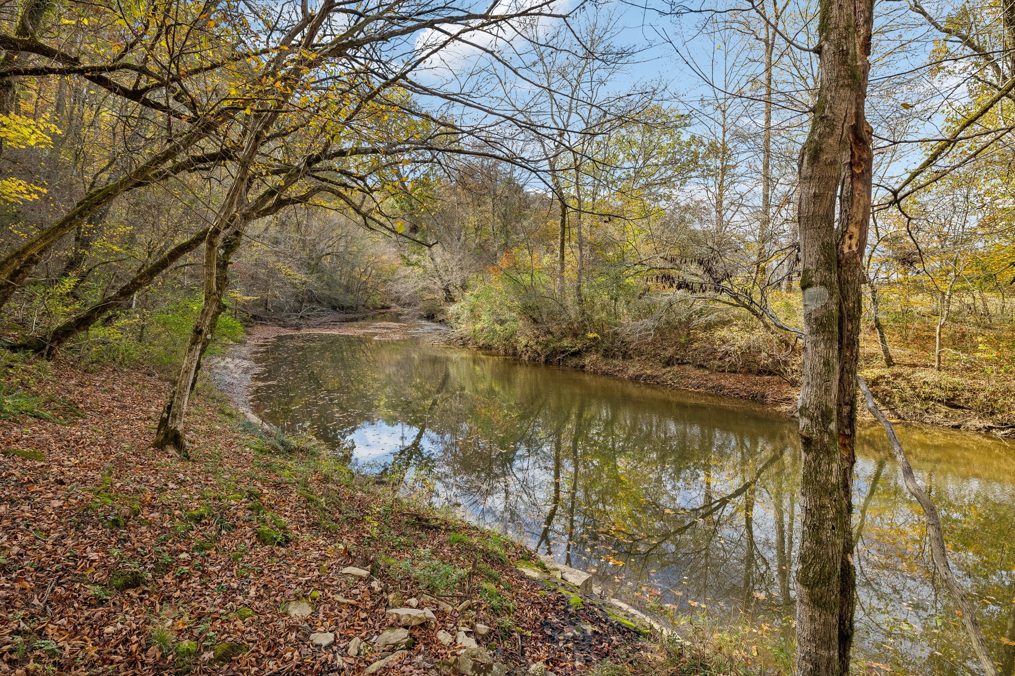 1101 Sam Johnson Rd