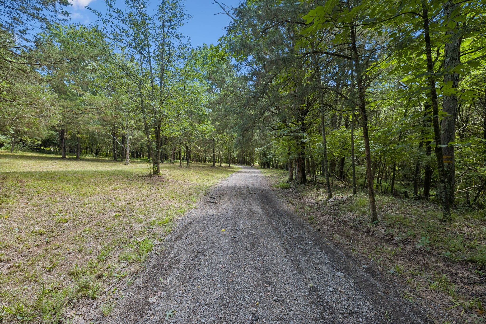 8130 Saundersville Rd