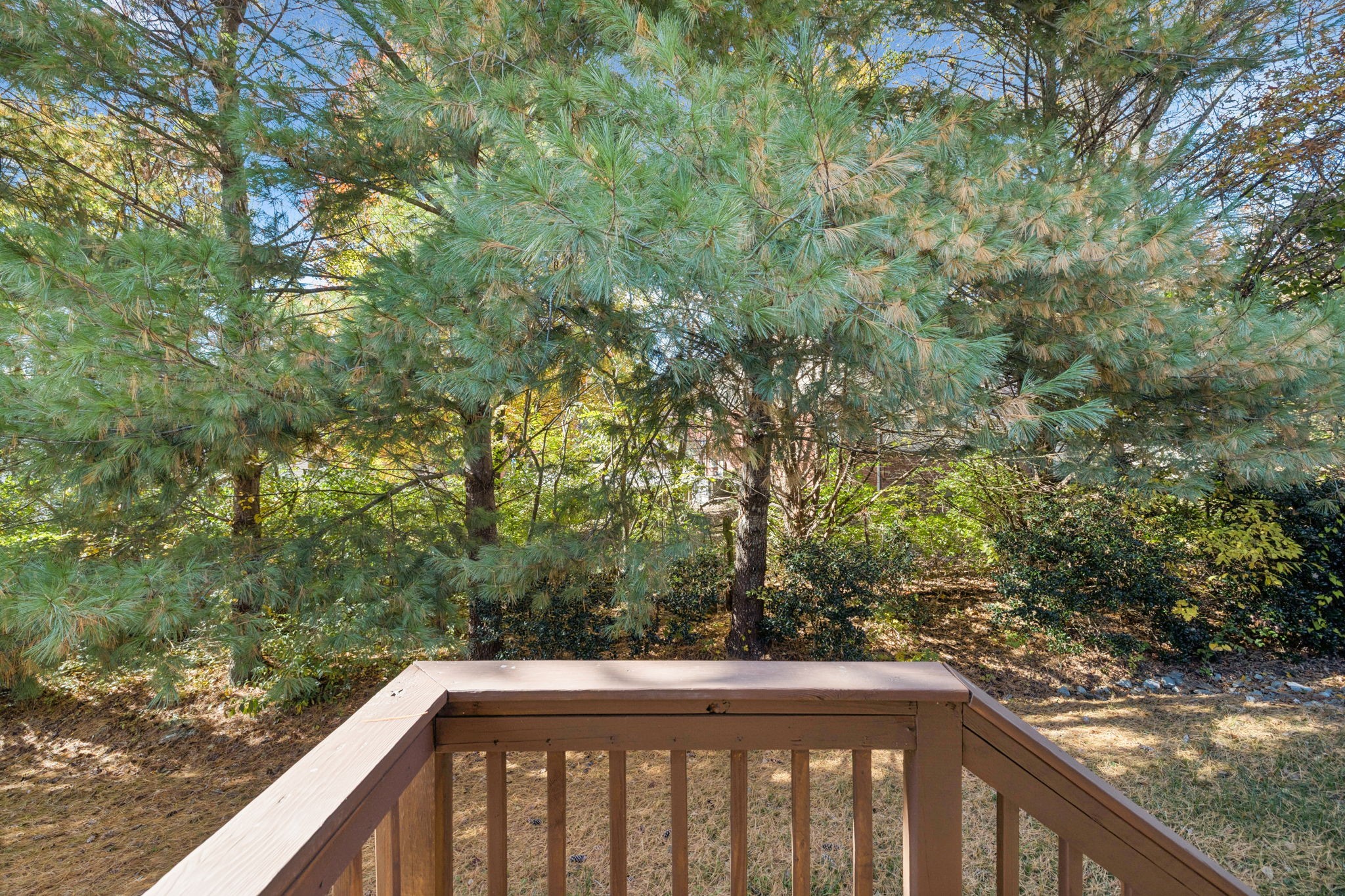 201 Cashmere Dr