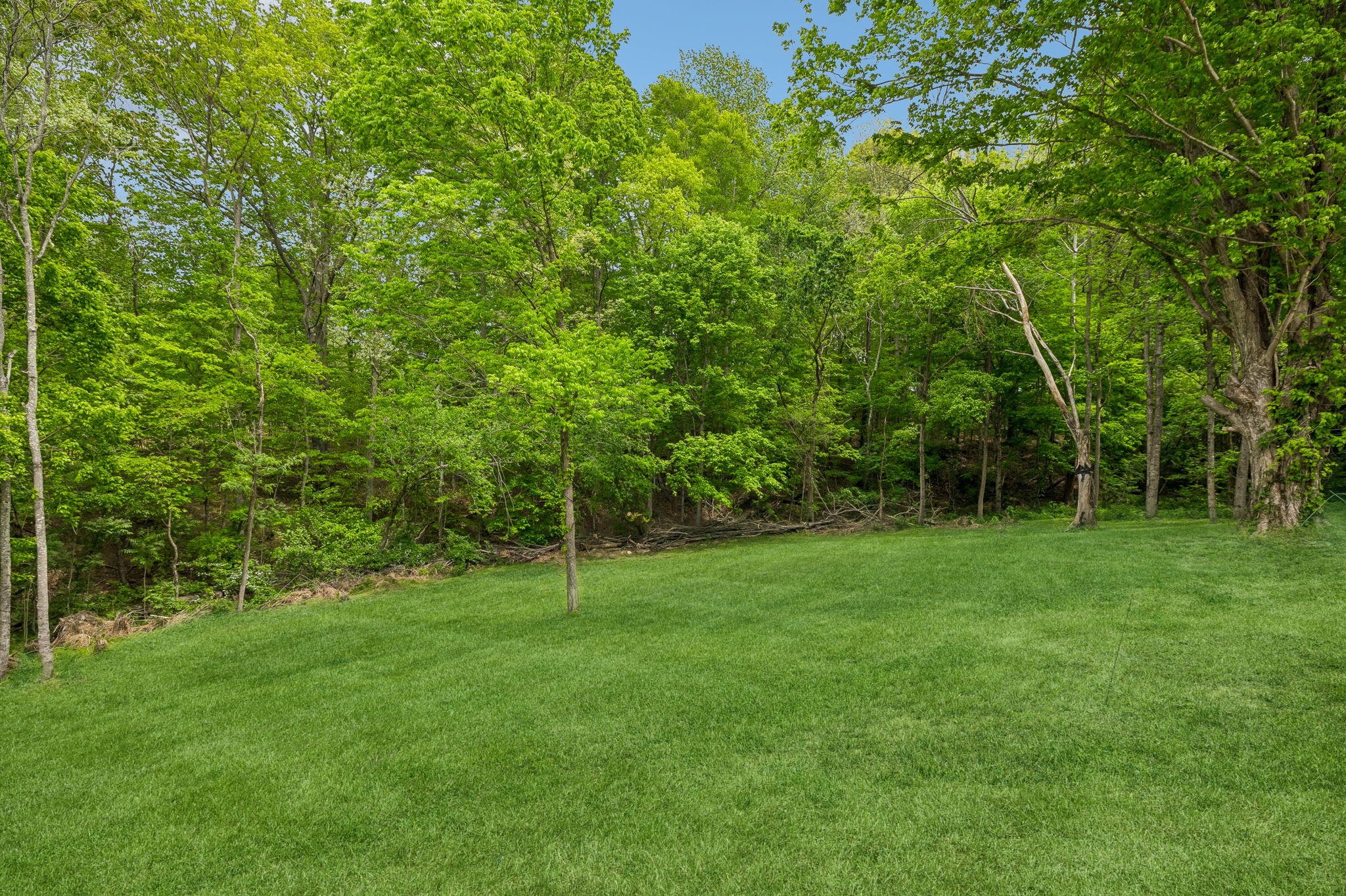 1198 Rogues Fork Rd