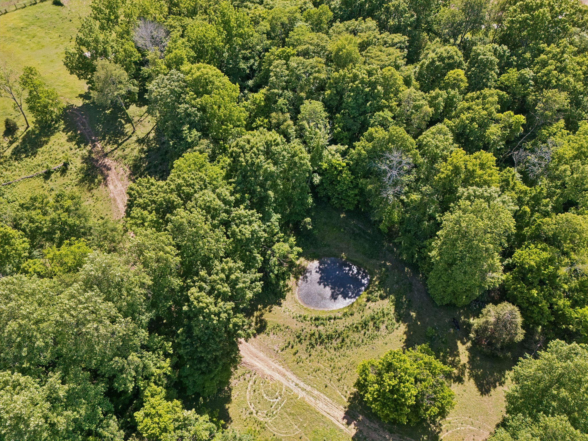 4870 Haley Ln