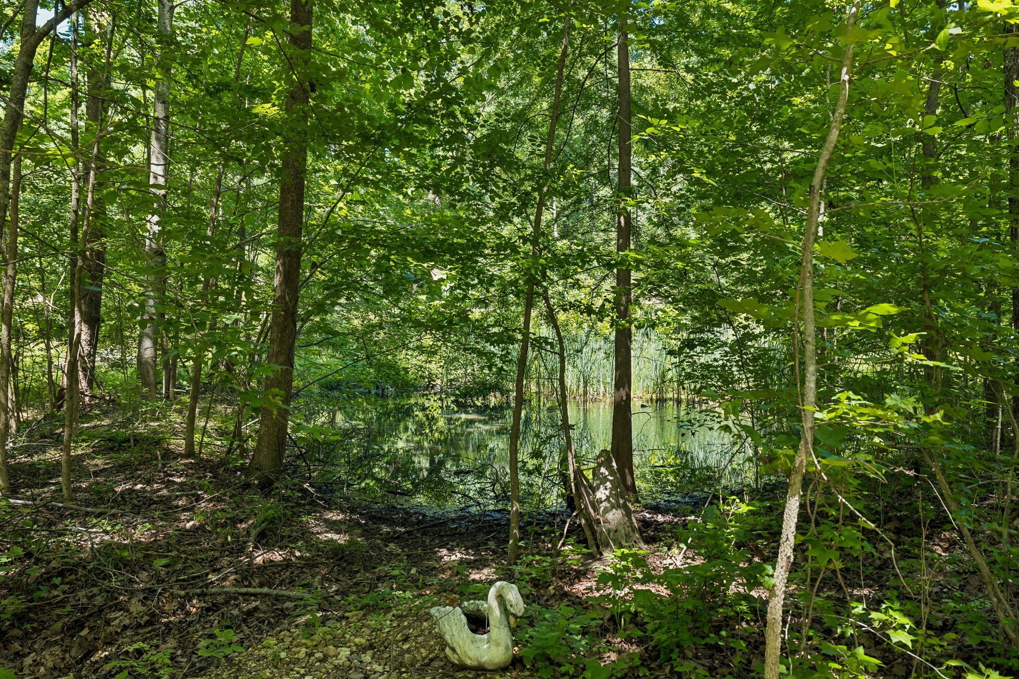 5833 Dewey Carr Rd