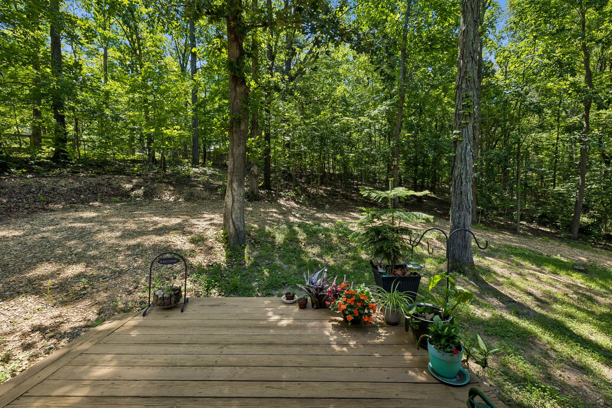 5833 Dewey Carr Rd
