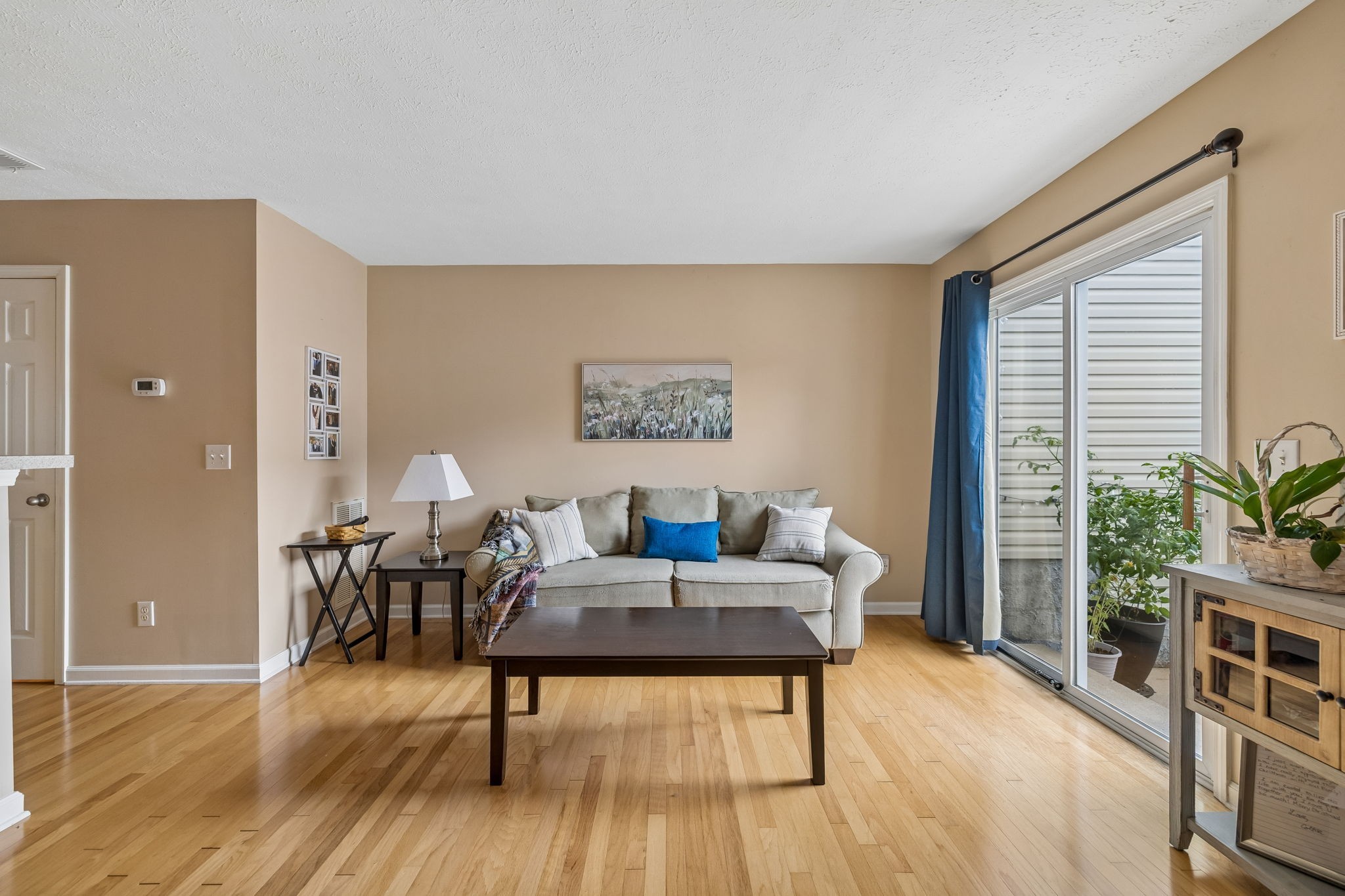 3331 Harpeth Springs Dr