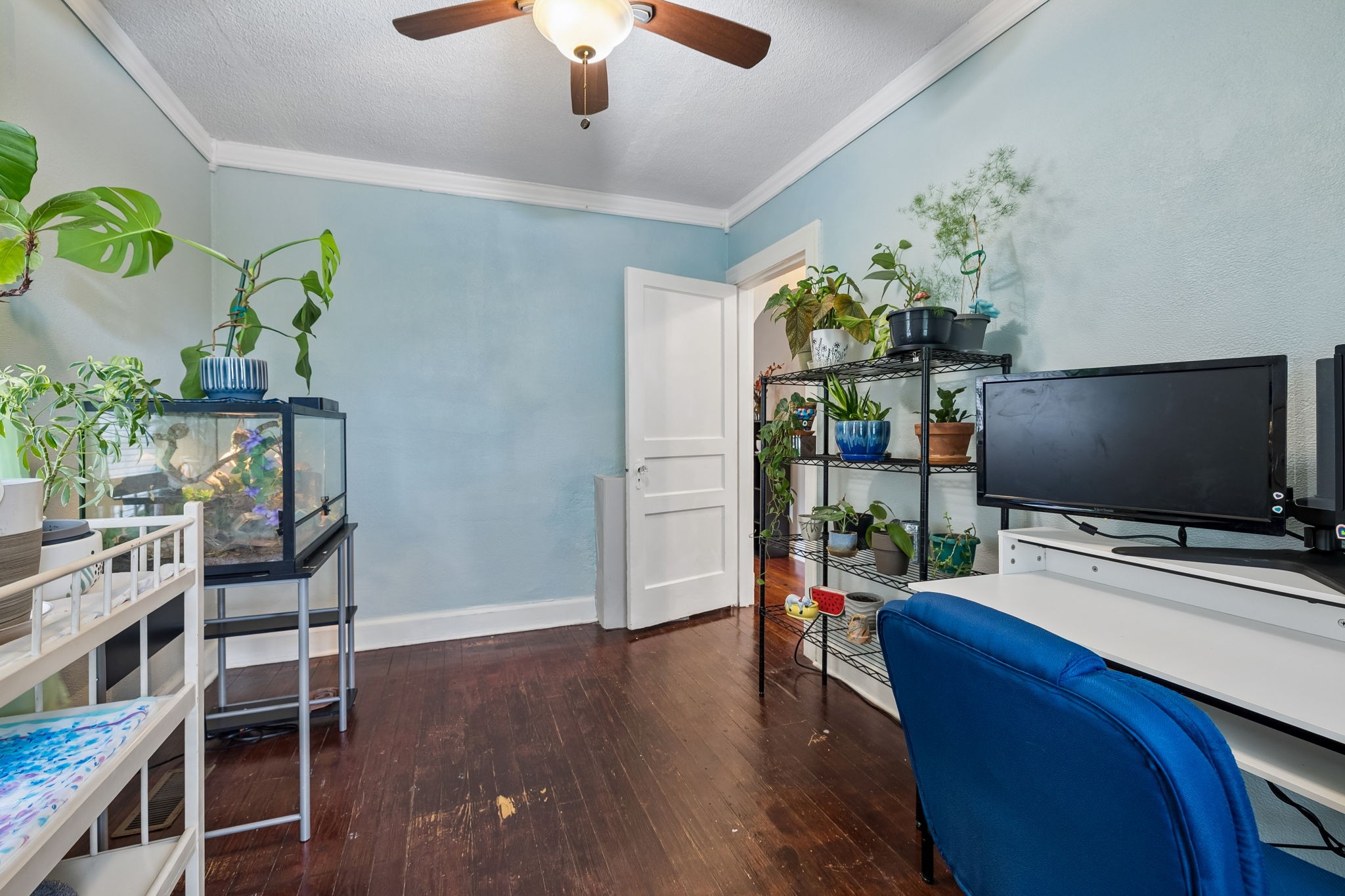 1804 Mars St
