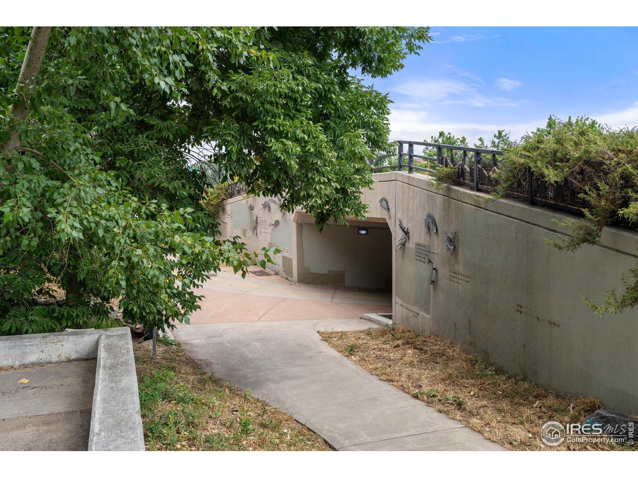 415 Sunnyside Ln