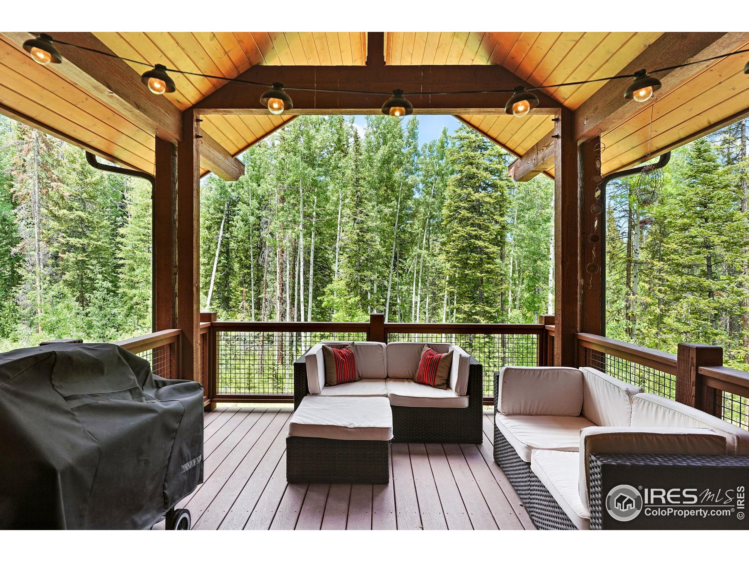 65 Lake Trail Ct