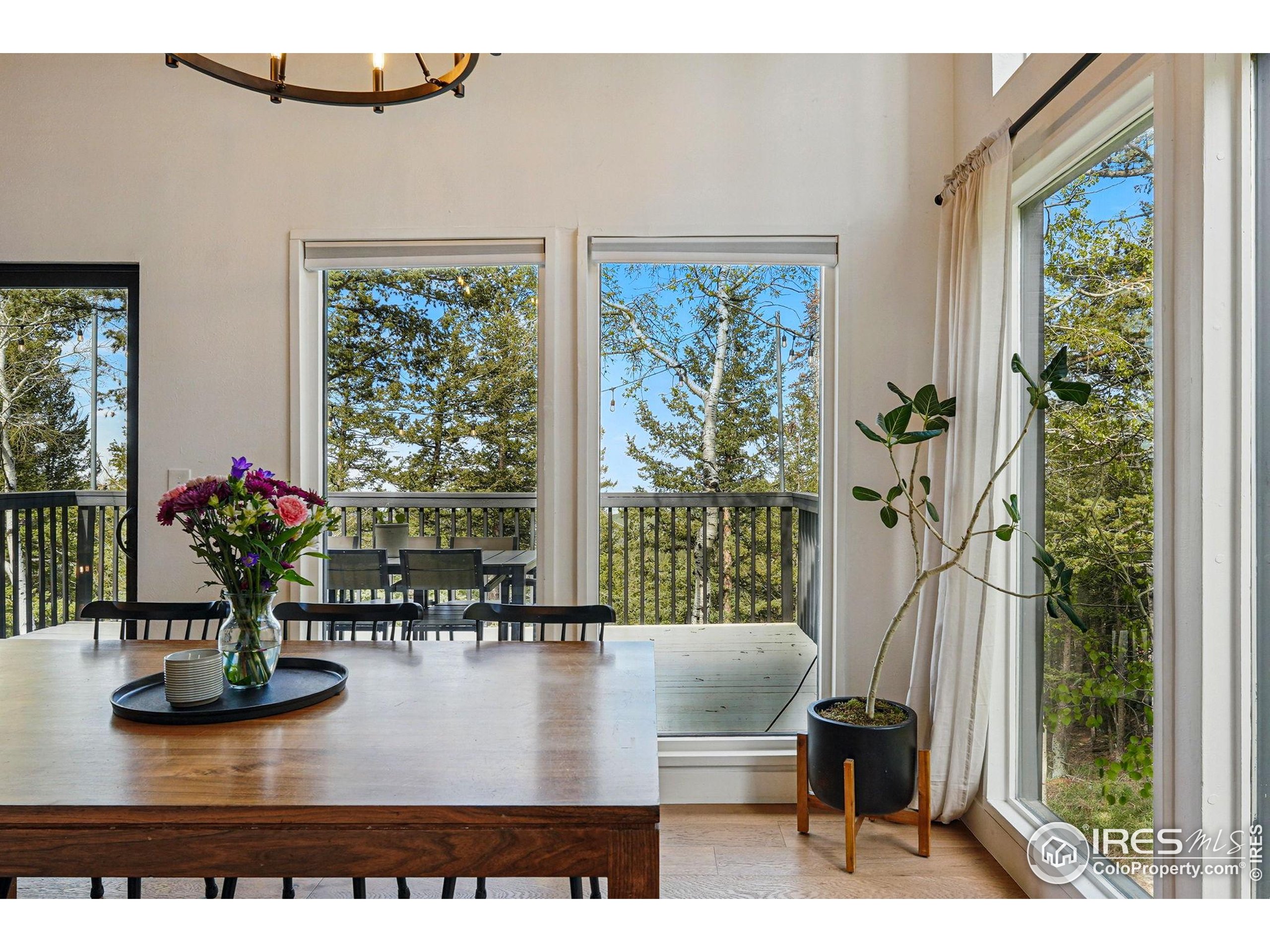 1750 Deer Trail Rd