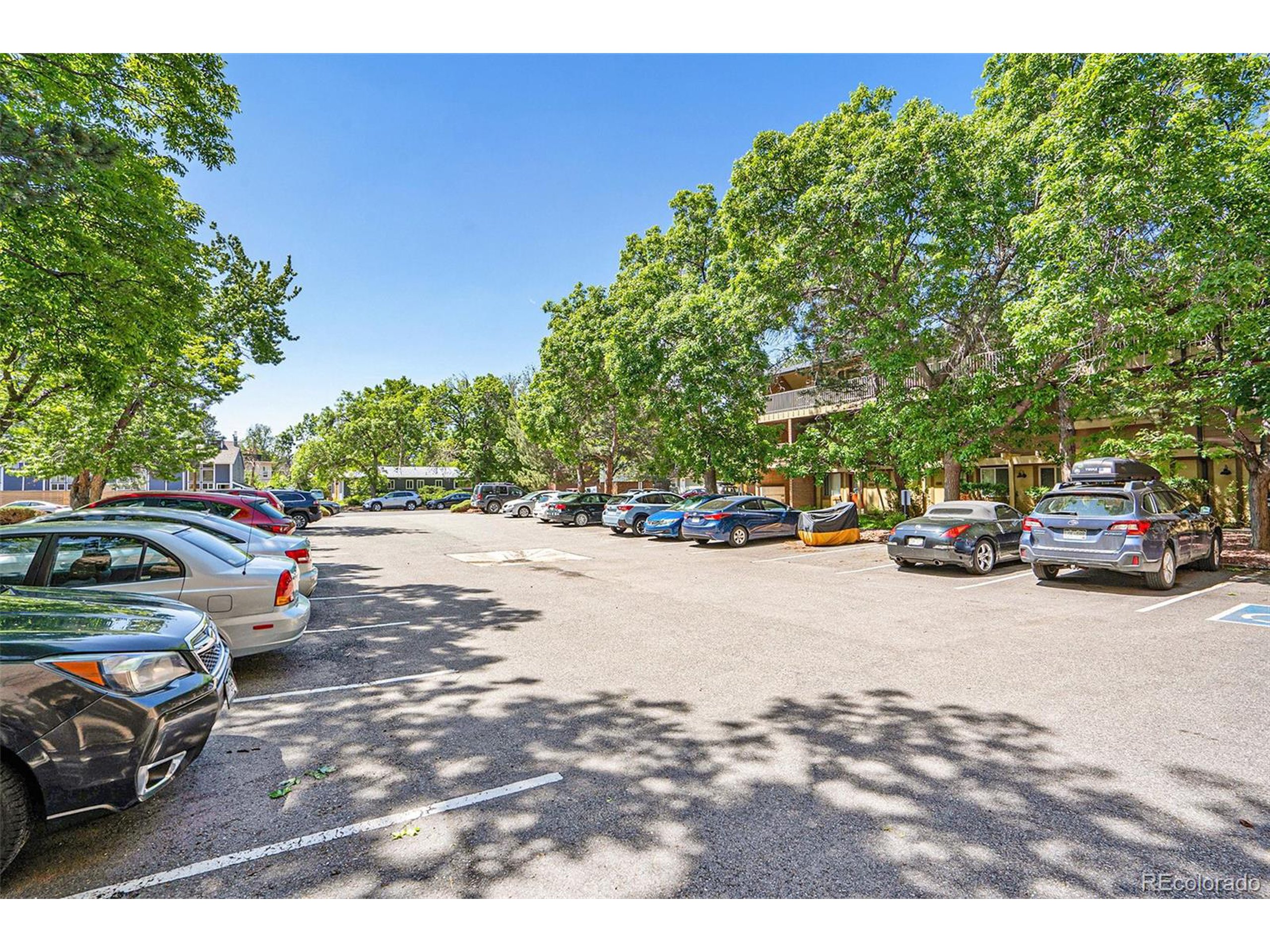 3363 Madison Ave V122