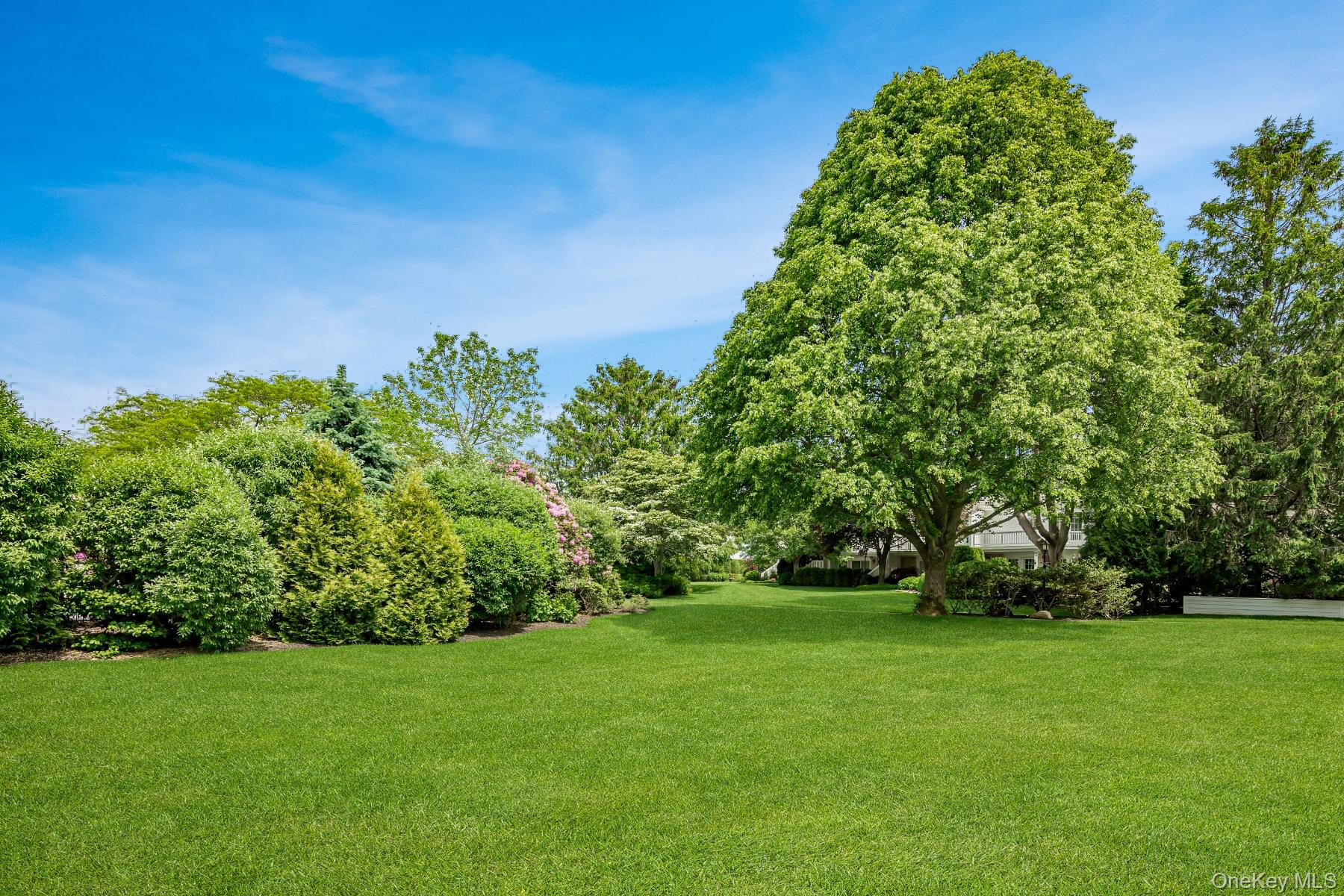 520 Hampton Road Unit: 5