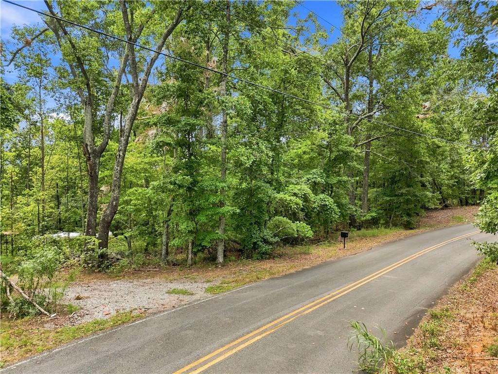Wooded property entrance with a gravel drive and mailbox beside a two-lane road.