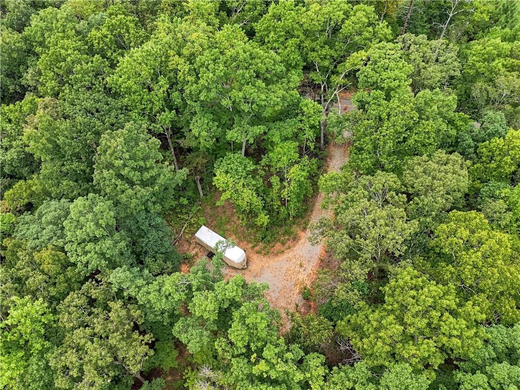 Aerial view of a wooded property with a winding gravel driveway and small structure.