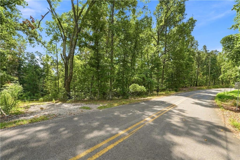 Wooded property frontage beside a two-lane road, with a gravel entrance and mature trees.