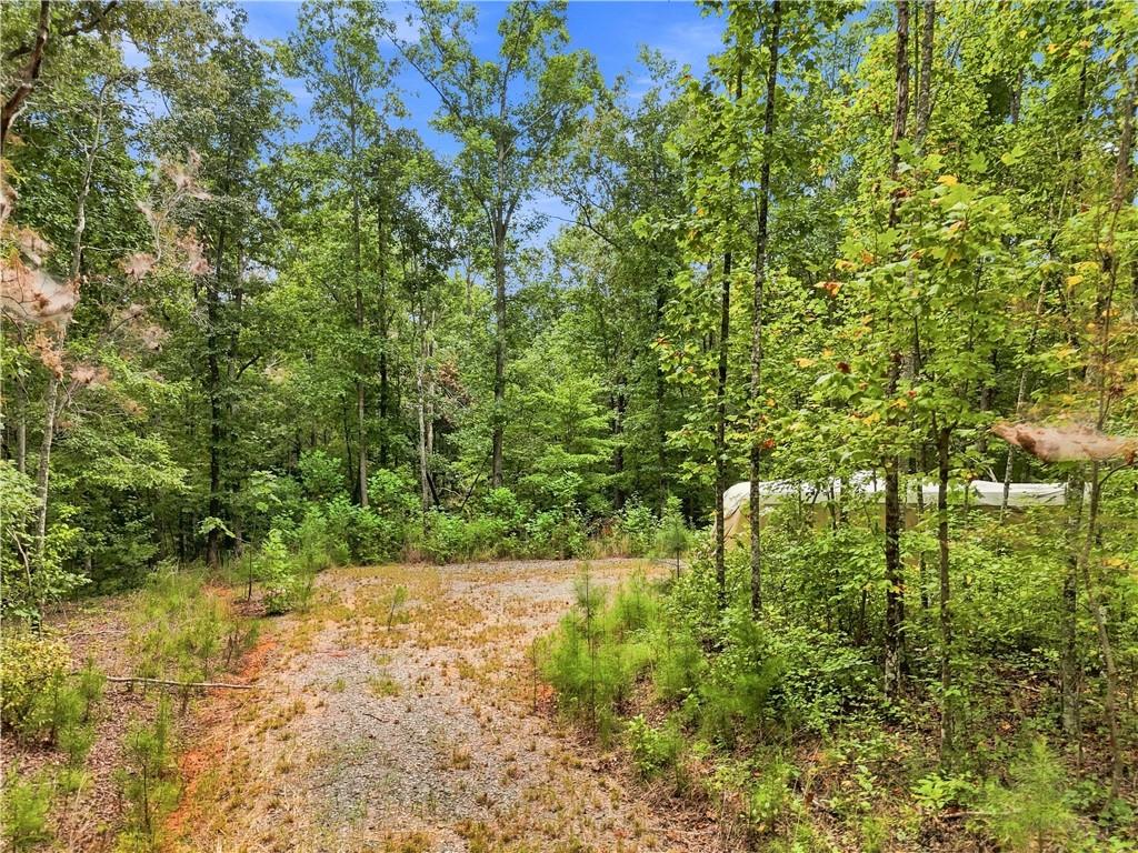 Gravel driveway curves through a wooded property, with a white structure partly visible among the trees.