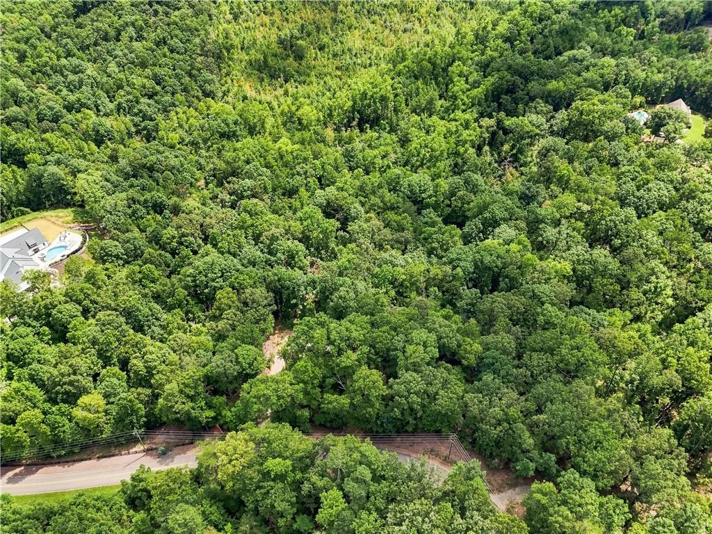 Aerial view of dense woodland beside a road, with neighboring homes and a swimming pool.