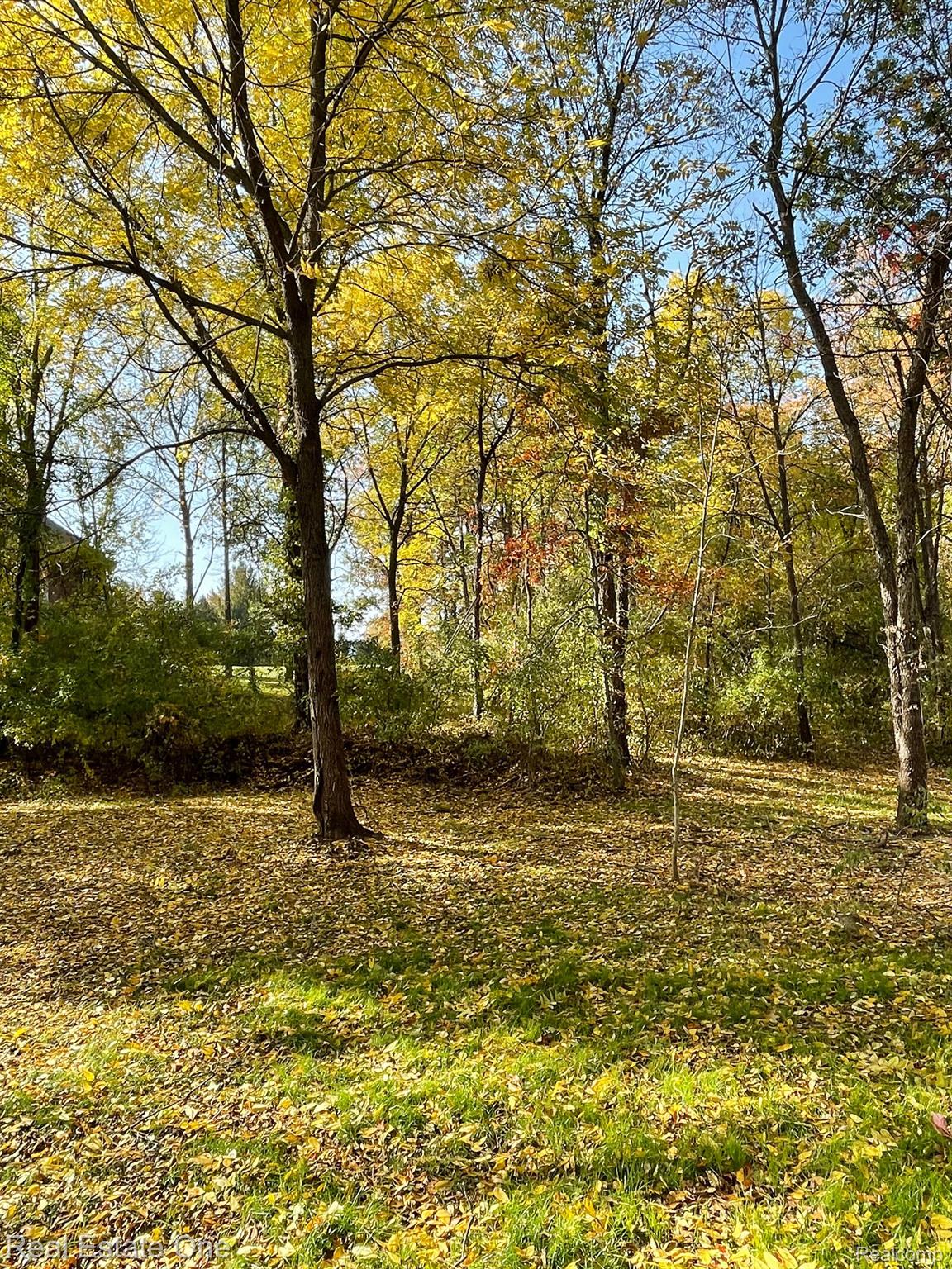 000 Dequindre