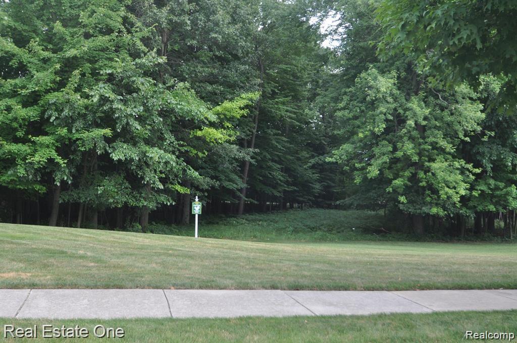 3553 LEYLAND CRT